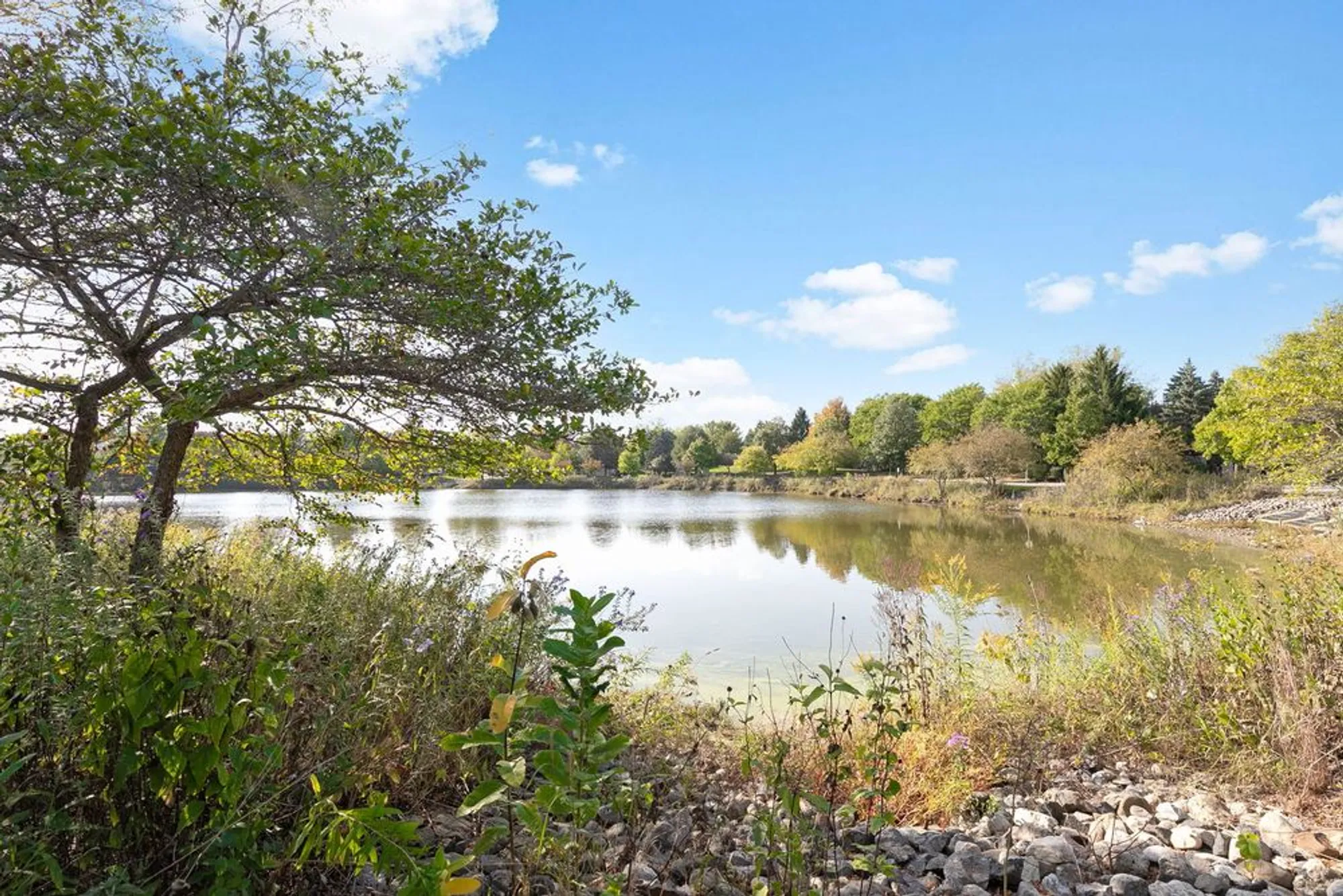 Property Slideshow image 32 of 32 | 272 enfield ln, Grayslake, IL, 60030