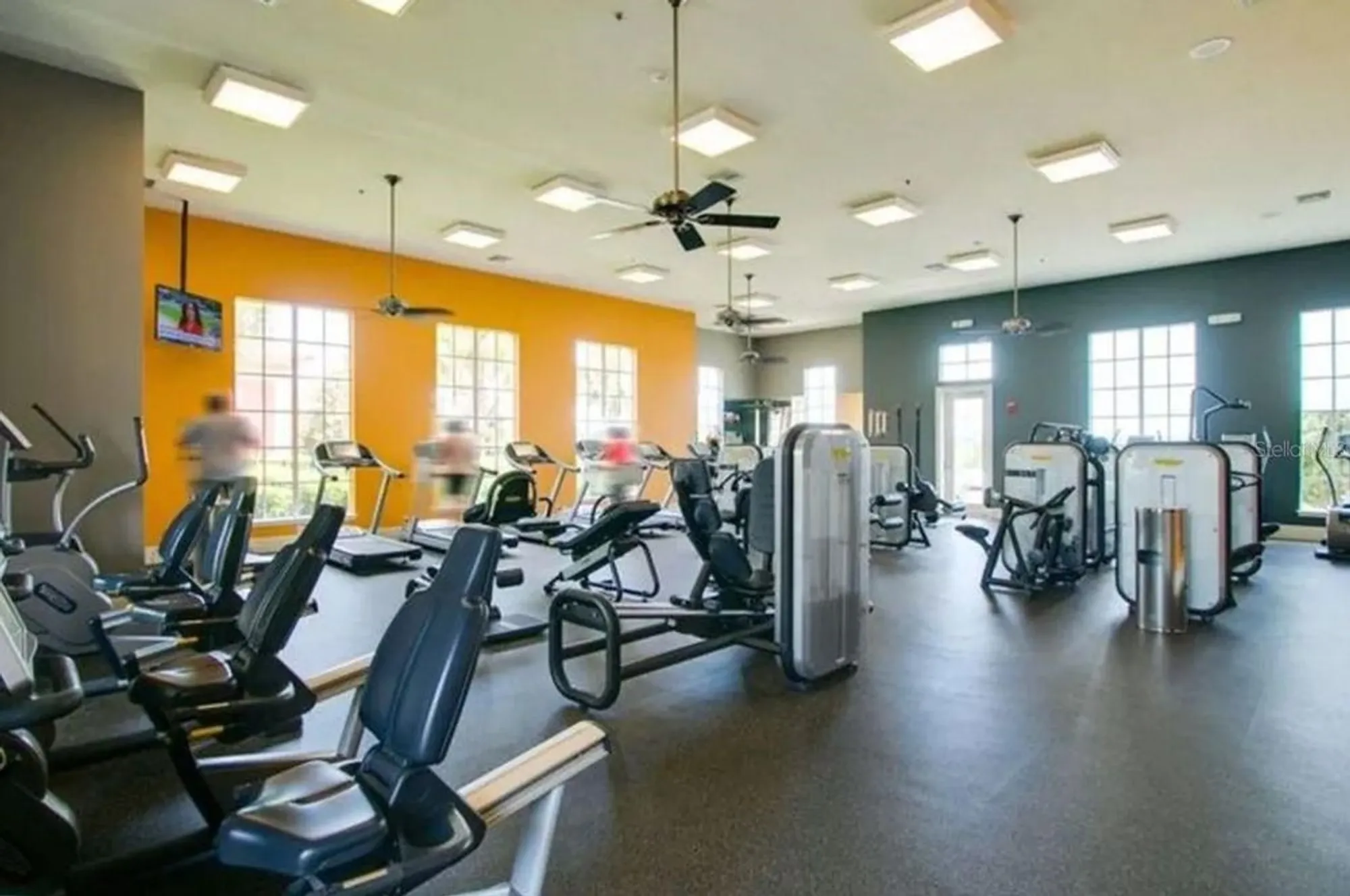 Property Slideshow image 82 of 97 | 623 conservation blvd, Groveland, FL, 34736