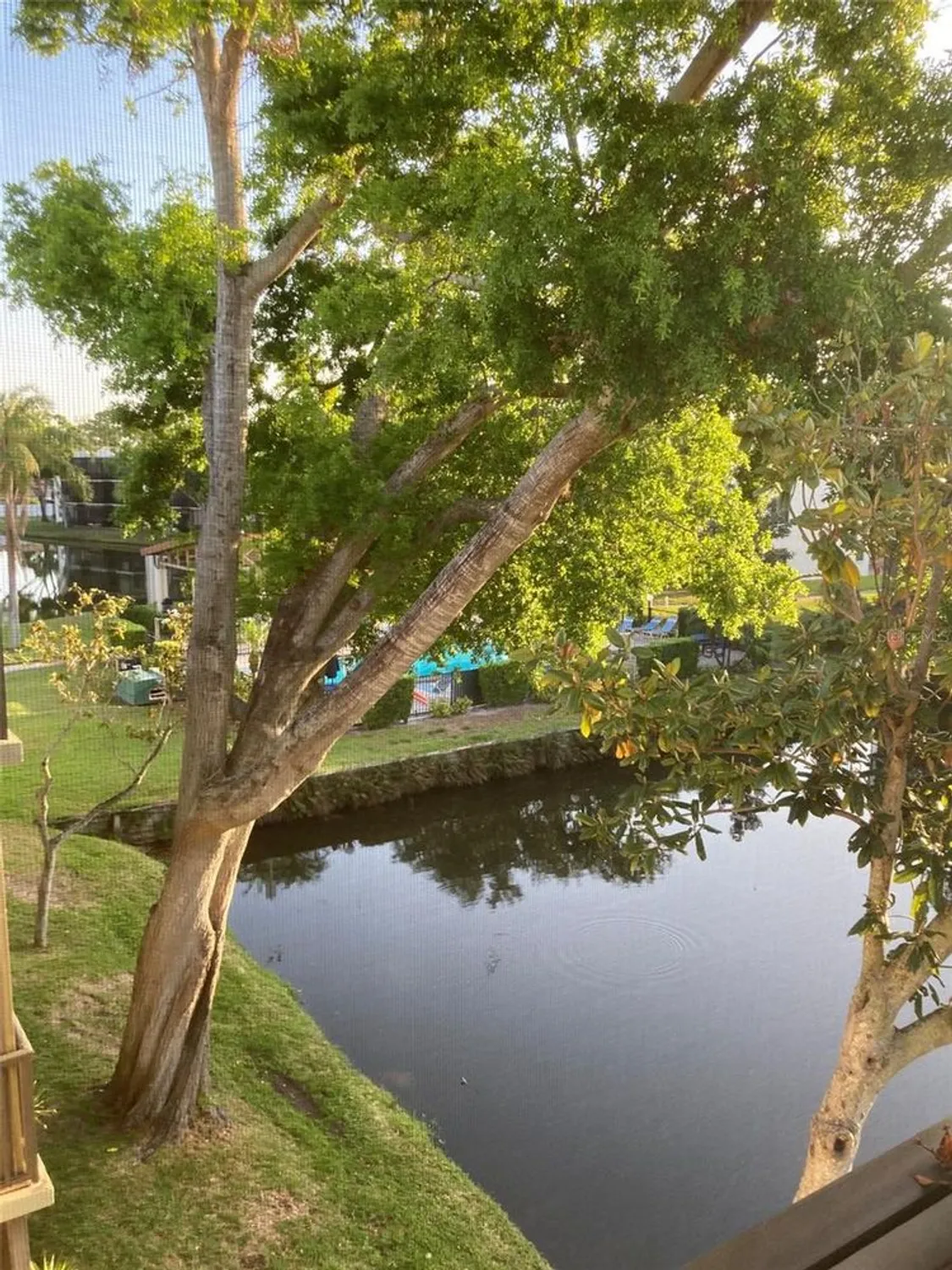 Property Slideshow image 1 of 3 | 7951 58th ave n unit 308, St Petersburg, FL, 33709