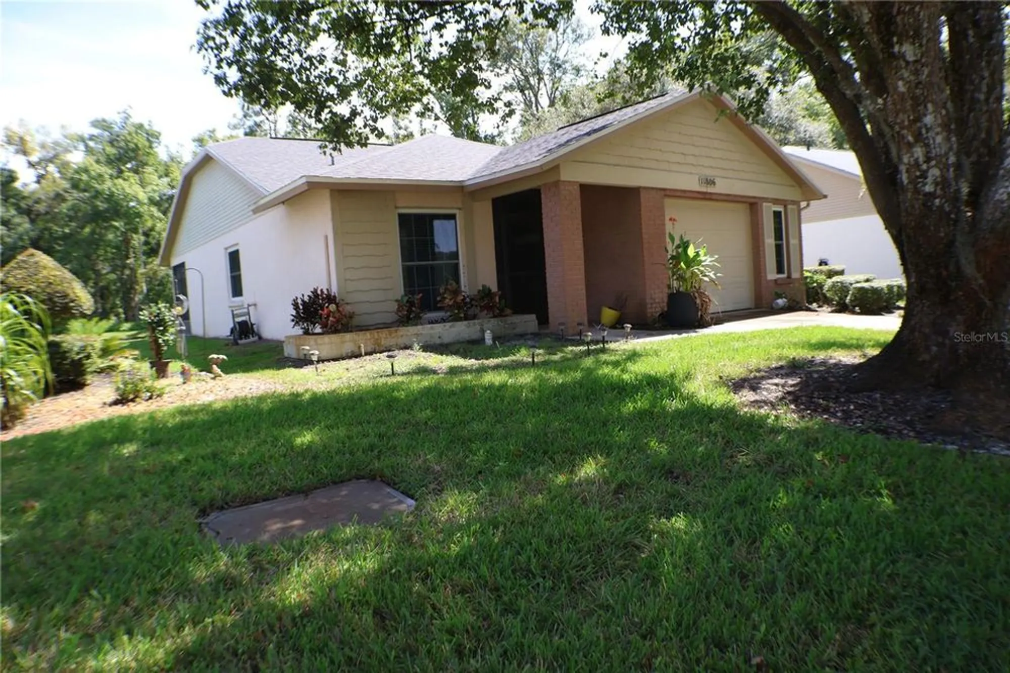 Property Slideshow image 32 of 37 | 11806 white ash dr, New Port Richey, FL, 34654