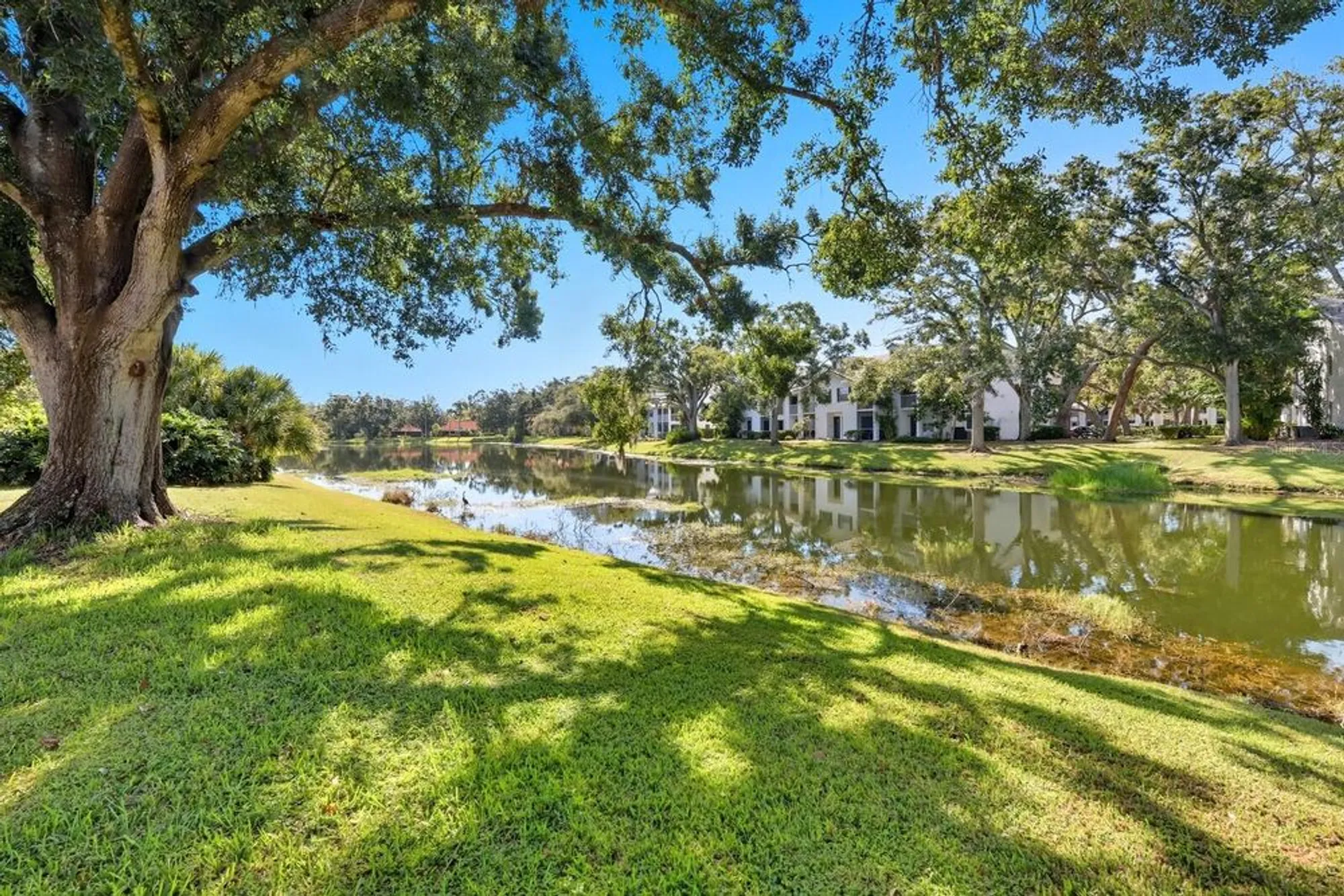 Property Slideshow image 9 of 50 | 5508 gardens dr, Sarasota, FL, 34243