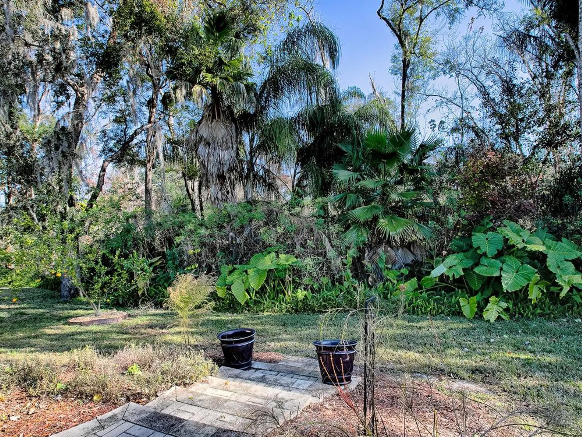 Property Slideshow image 35 of 38 | 32622 oak park dr, Leesburg, FL, 34748