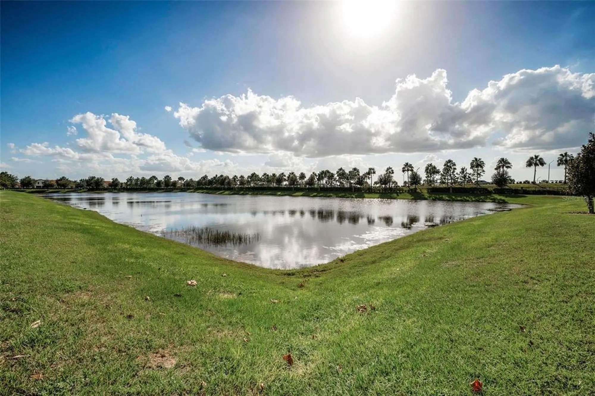 Property Slideshow image 32 of 55 | 16833 banner shell pl, Wimauma, FL, 33598