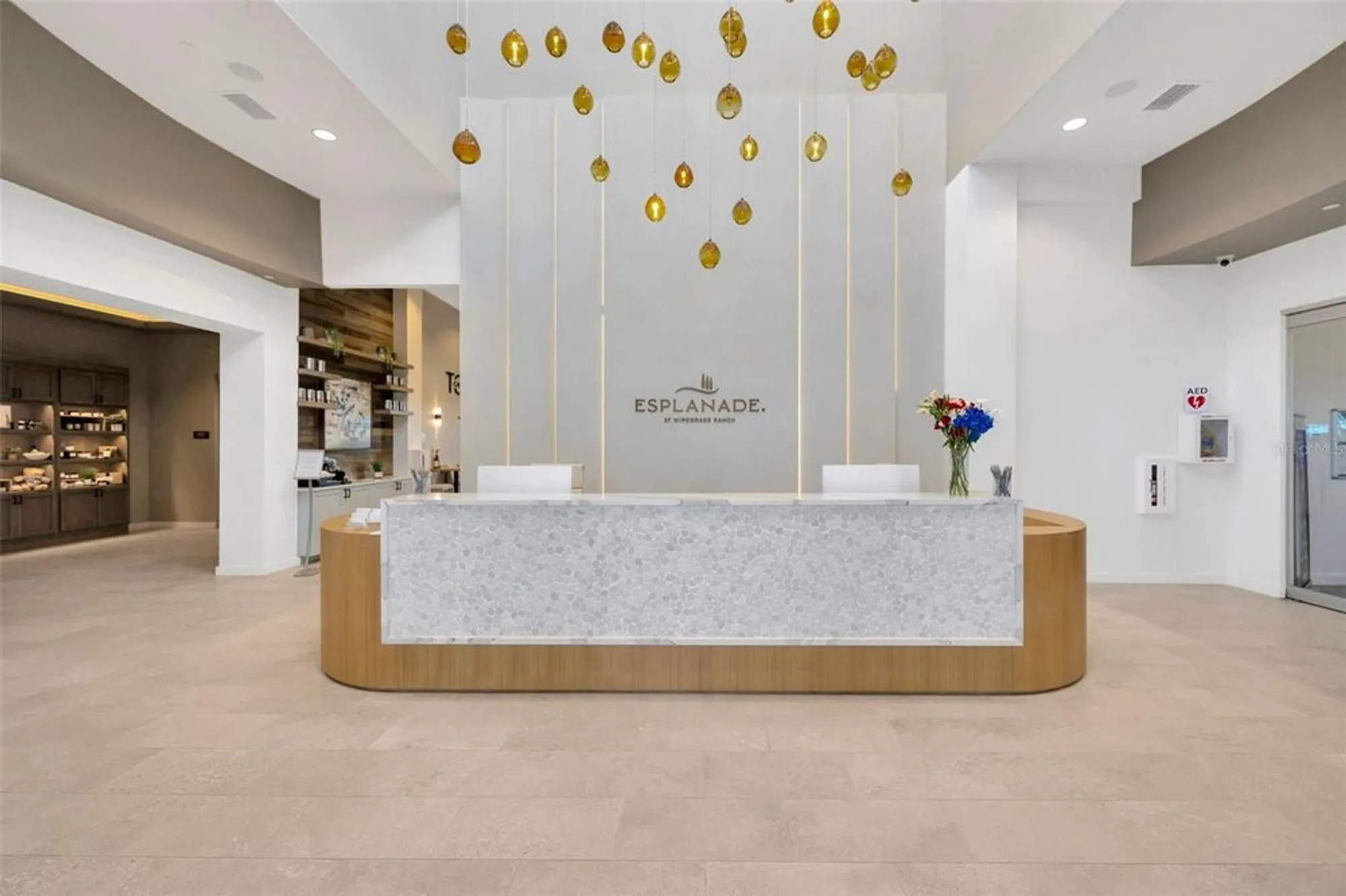 Property Slideshow image 62 of 91 | 4831 rosatti rd, Wesley Chapel, FL, 33543