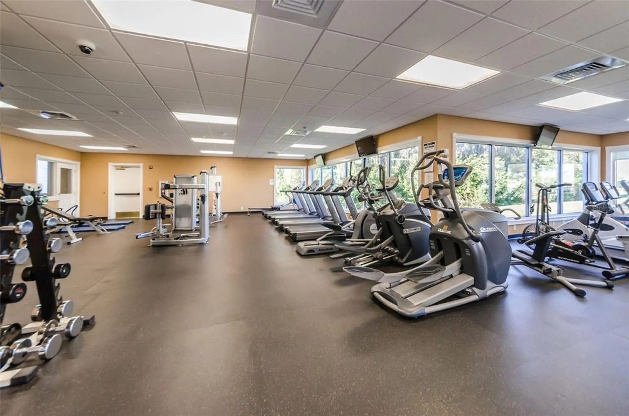 Property Slideshow image 58 of 66 | 1249 winding willow dr, Trinity, FL, 34655