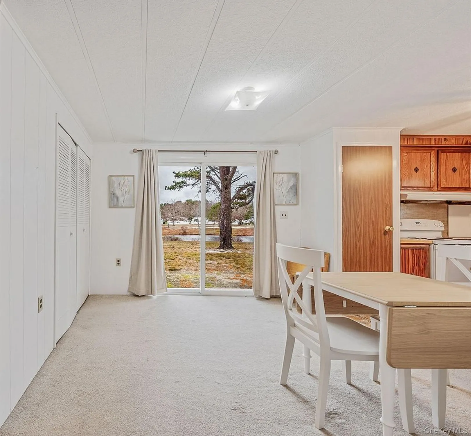 Property Slideshow image 11 of 23 | 22 limetree dr, Manorville, NY, 11949