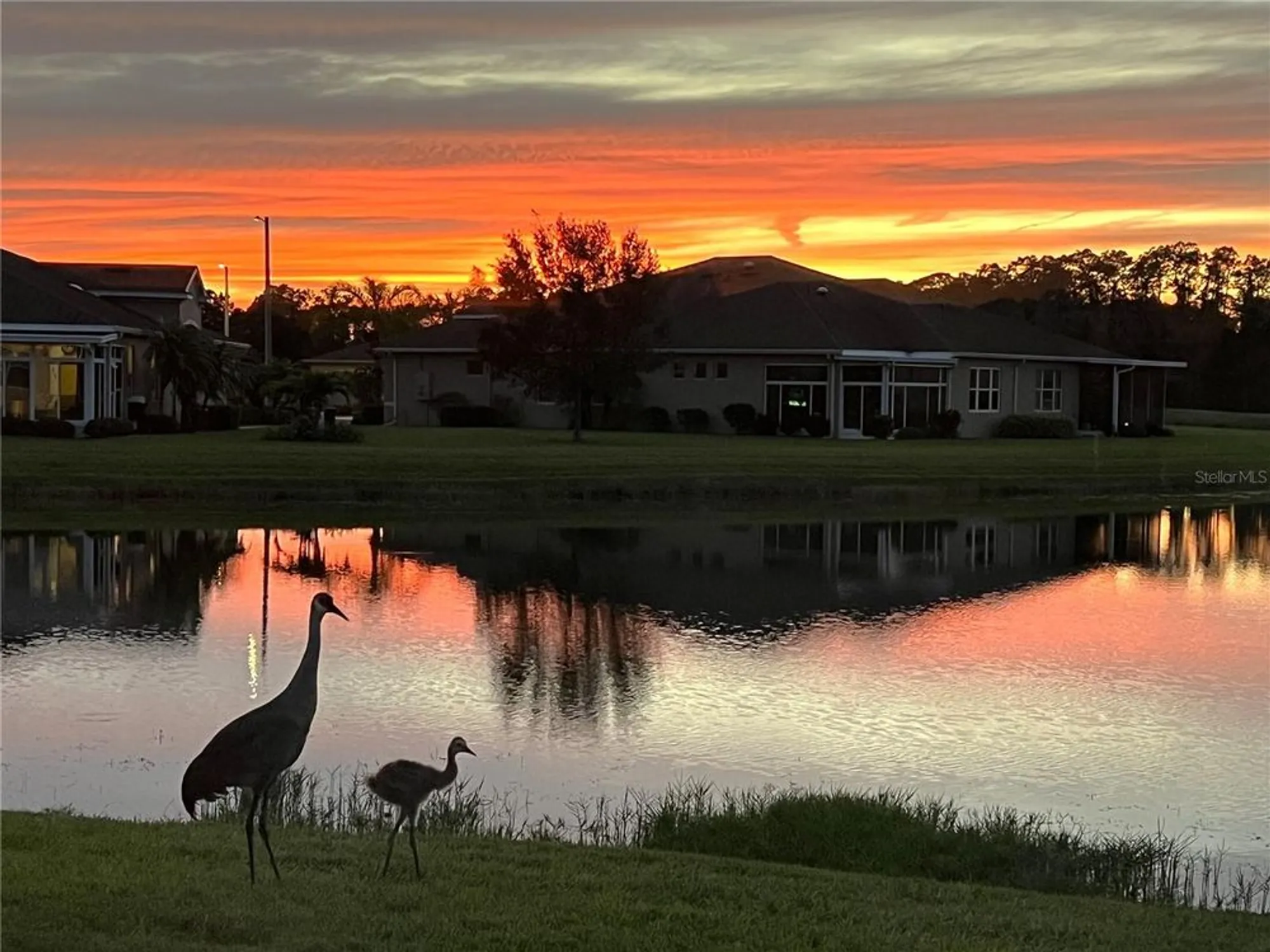 Property Slideshow image 38 of 74 | 2507 sapphire greens ln # 32, Sun City Center, FL, 33573