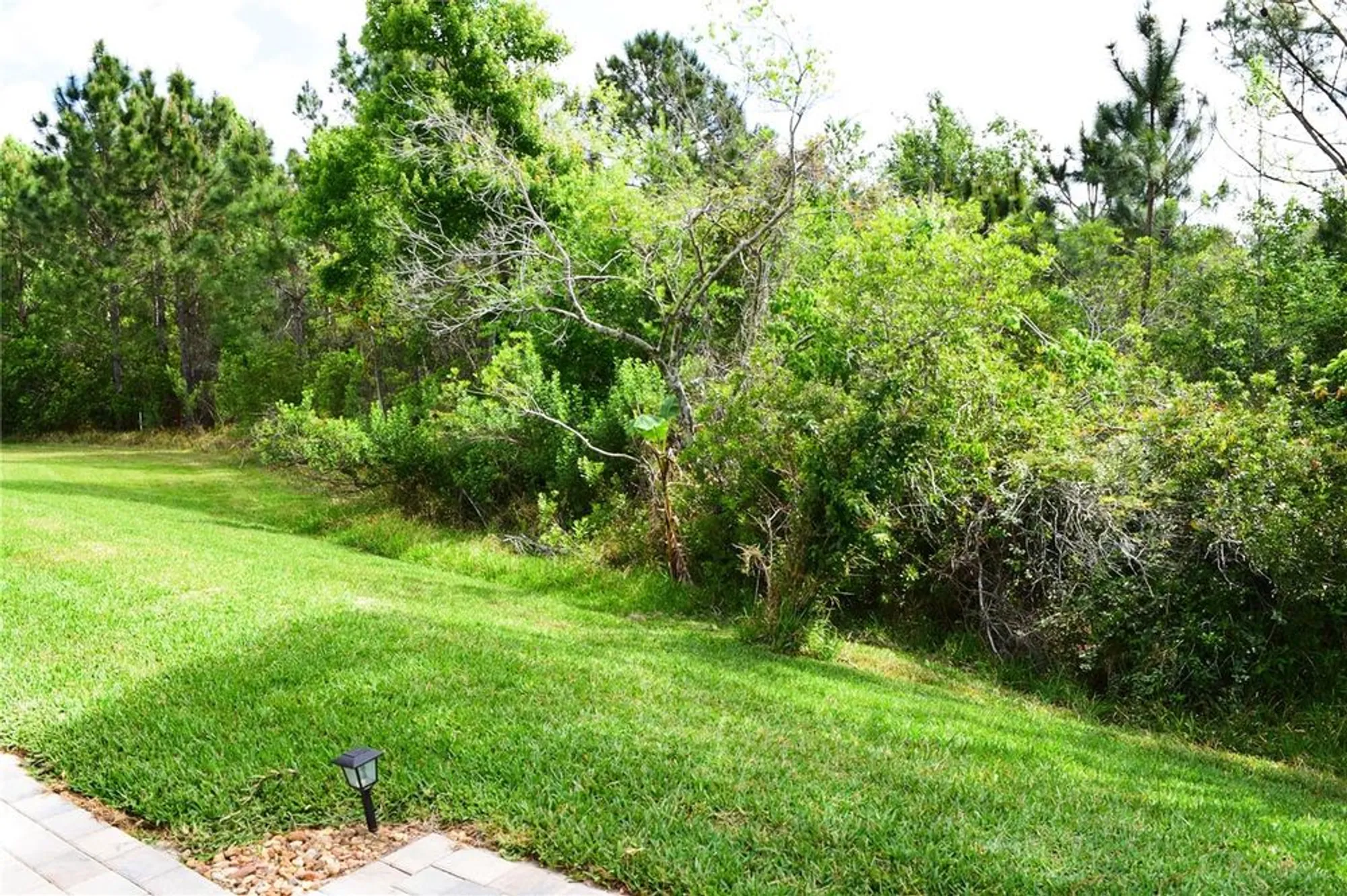 Property Slideshow image 33 of 52 | 10118 cleghorn dr, San Antonio, FL, 33576