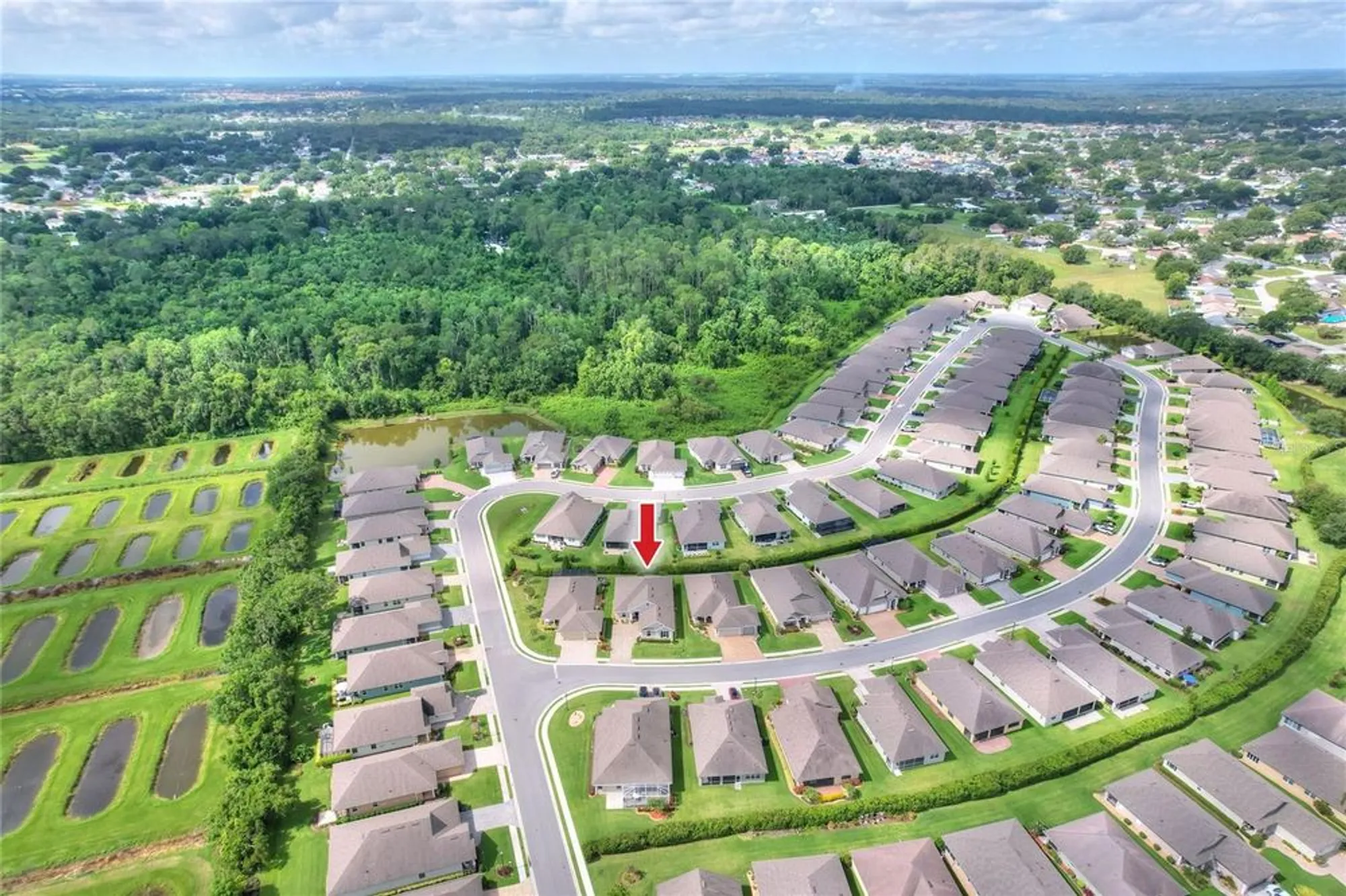 Property Slideshow image 46 of 48 | 7770 lake james blvd, Lakeland, FL, 33810