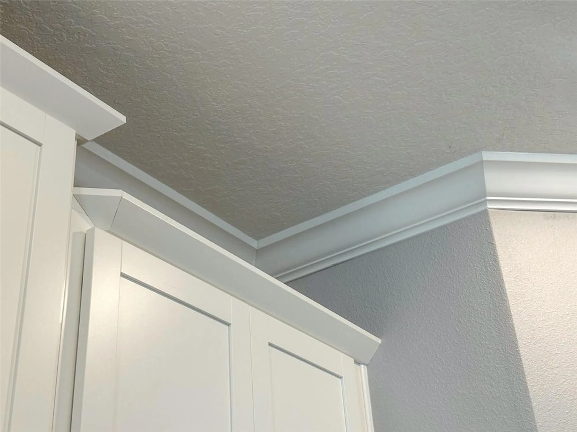 Property Slideshow image 17 of 90 | 17216 mango shay ct, Land O Lakes, FL, 34638