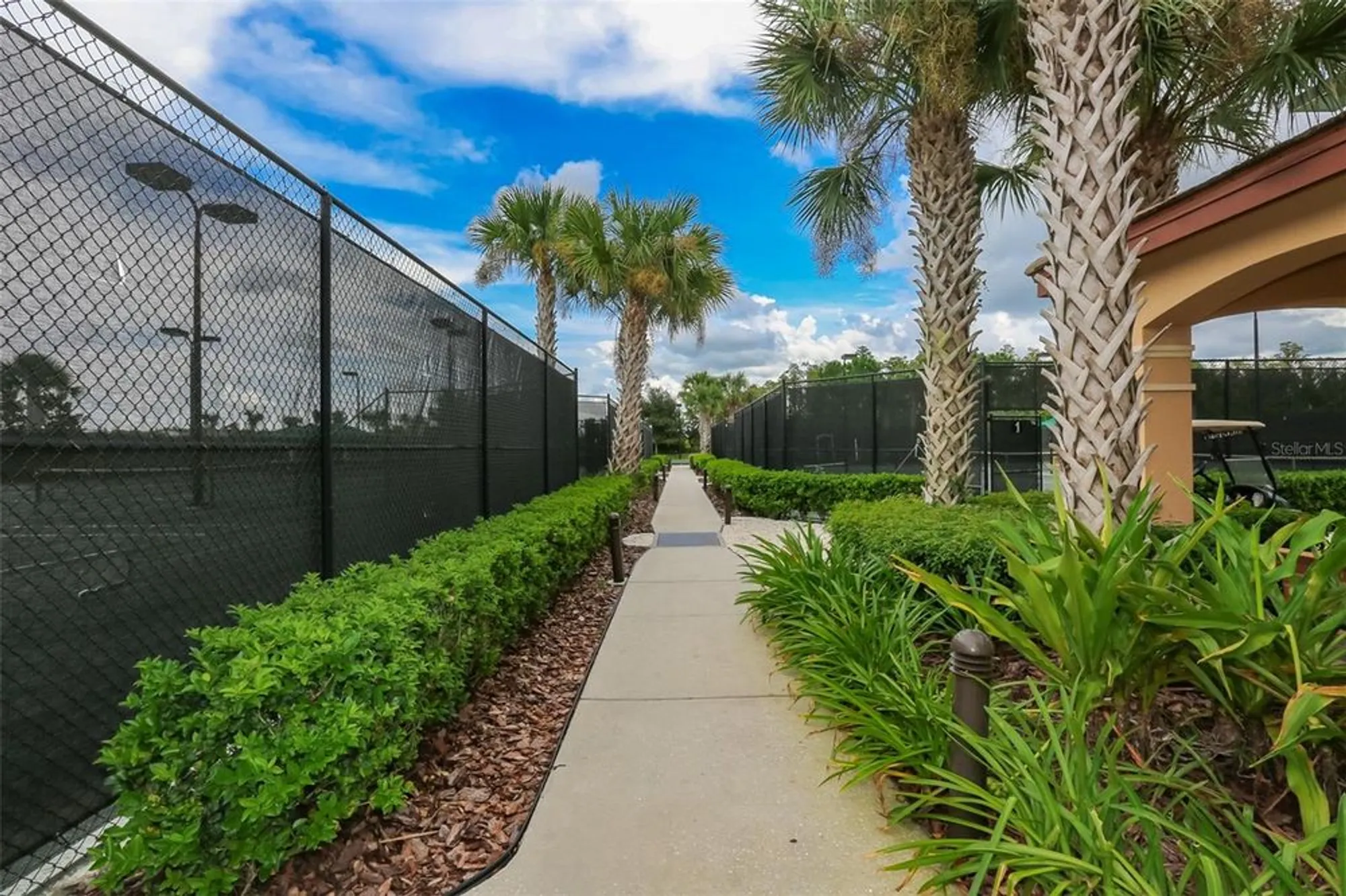 Property Slideshow image 49 of 67 | 15948 cobble mill dr, Wimauma, FL, 33598