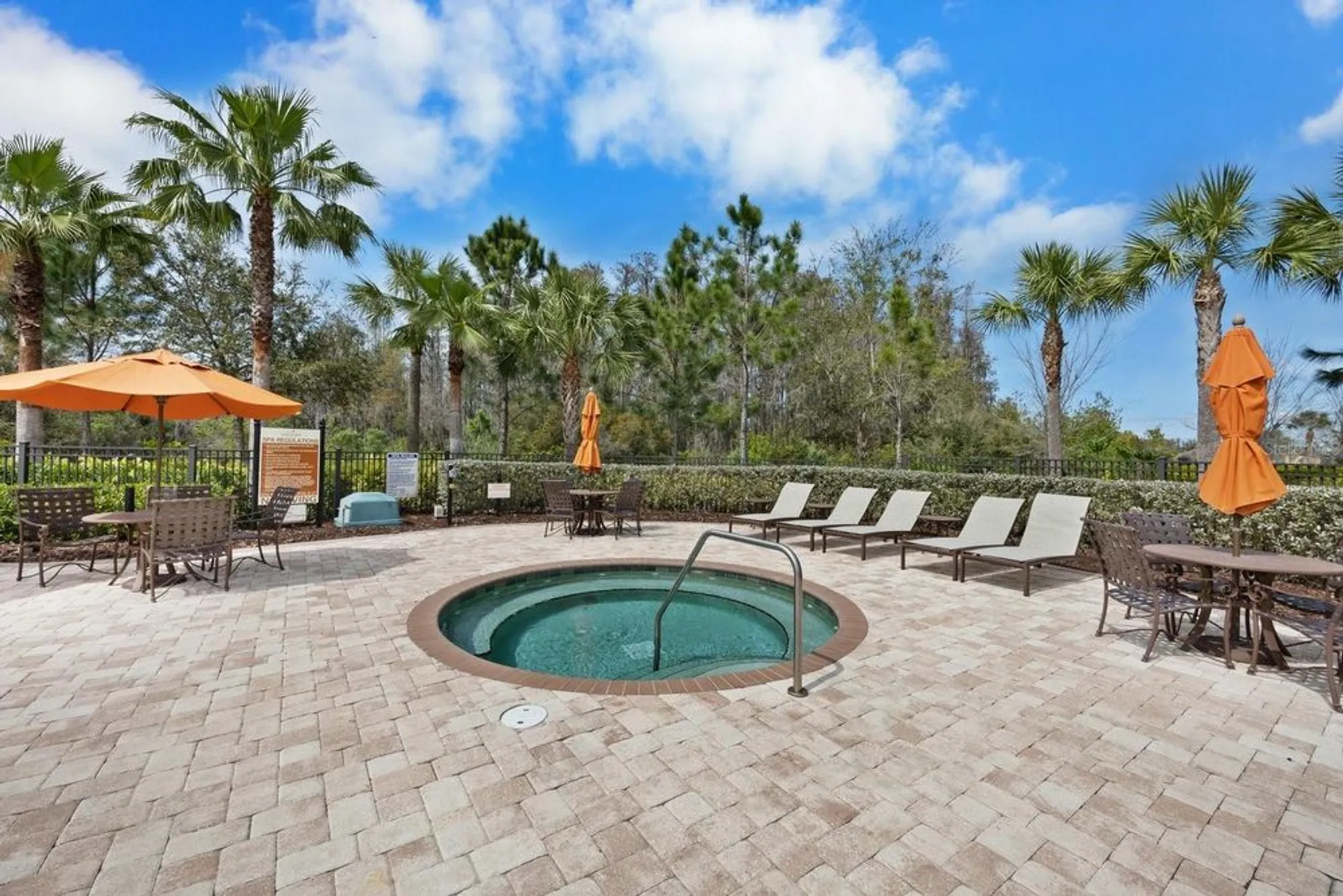 Property Slideshow image 41 of 57 | 11111 callisia dr, Odessa, FL, 33556