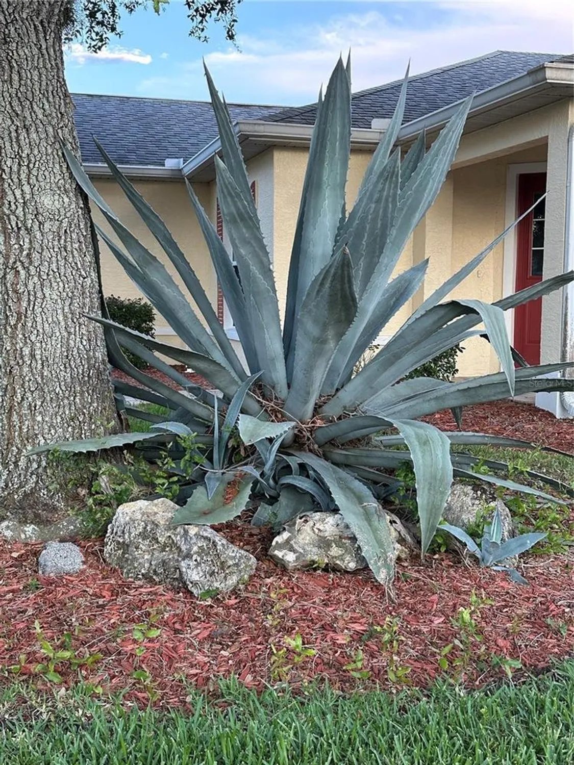 Property Slideshow image 39 of 83 | 9706 sw 92nd place rd, Ocala, FL, 34481