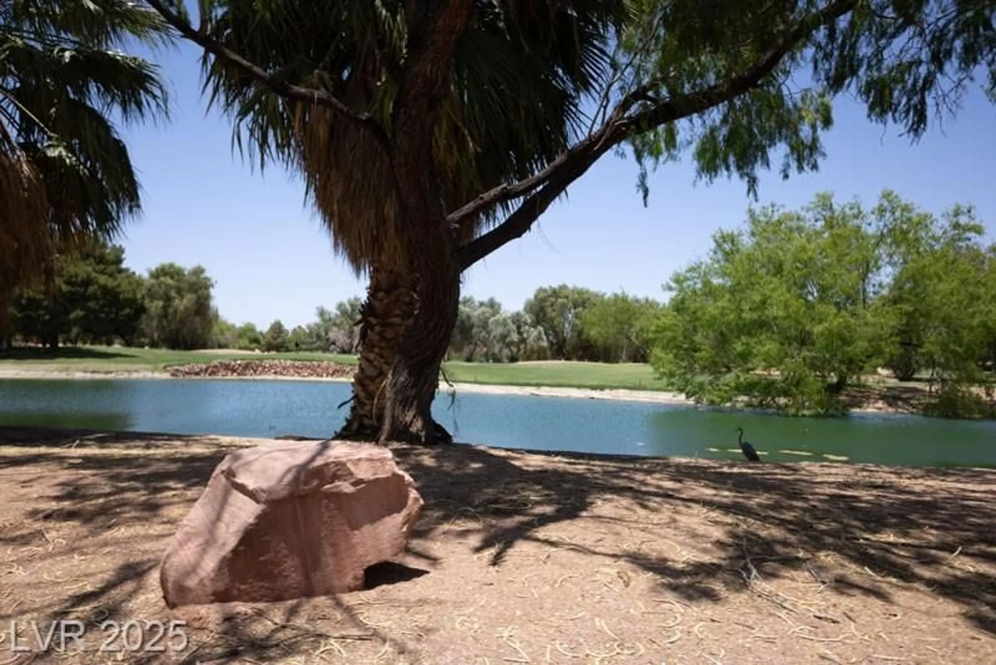 Property Slideshow image 43 of 43 | 5935 saddle horse ave, Las Vegas, NV, 89122