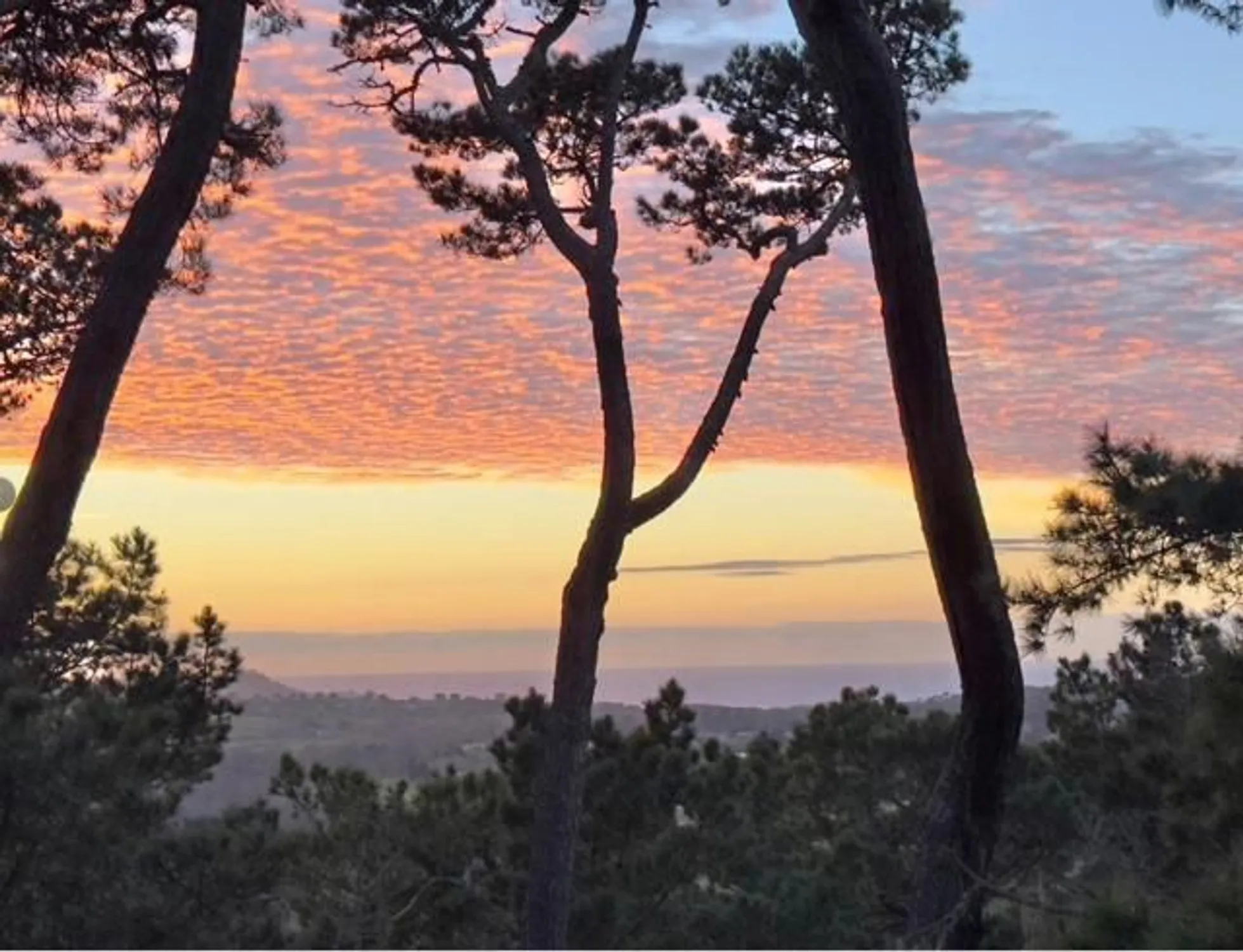 Property Slideshow image 2 of 49 | 31 del mesa carmel, Carmel, CA, 93923