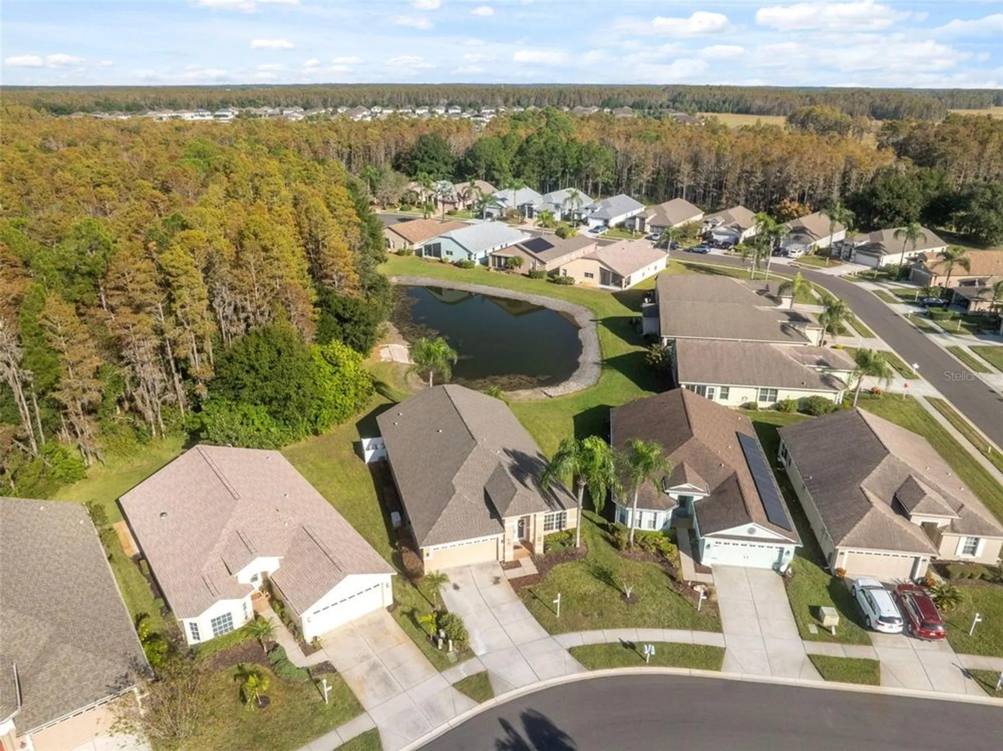 Property Slideshow image 45 of 78 | 1201 dustan pl, Trinity, FL, 34655