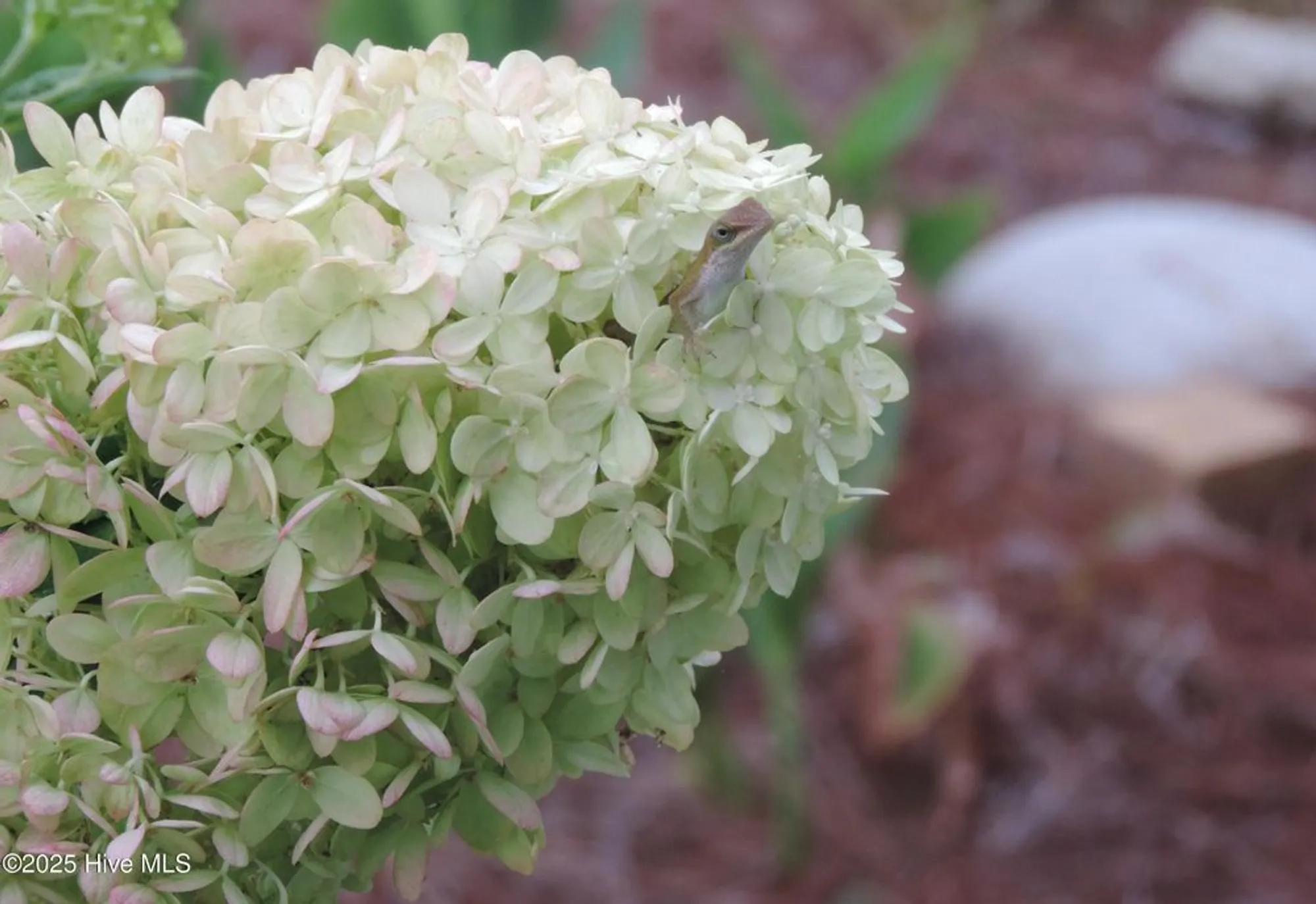 Property Slideshow image 44 of 83 | 2170 talmage dr, Leland, NC, 28451