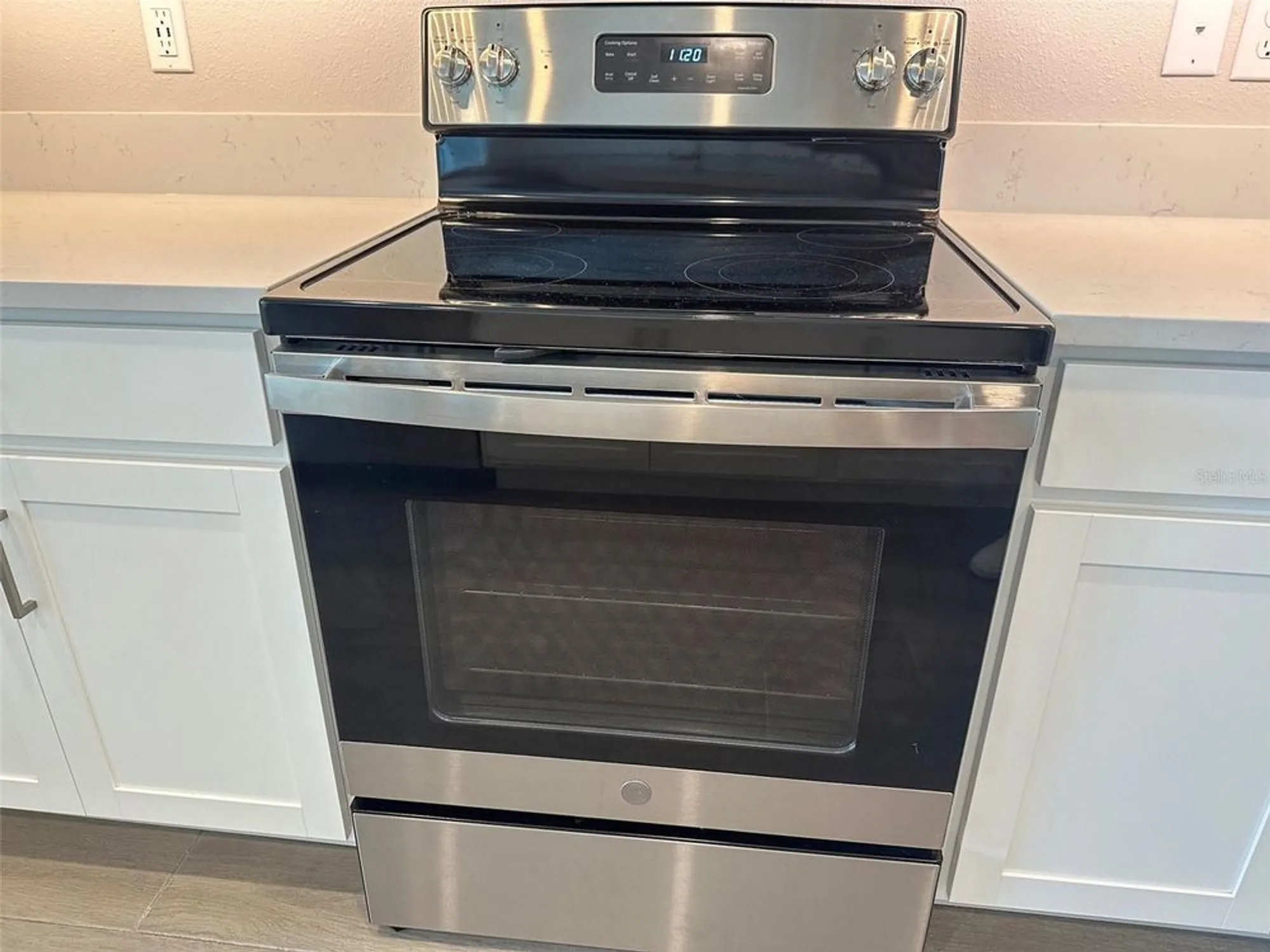 Property Slideshow image 10 of 90 | 17216 mango shay ct, Land O Lakes, FL, 34638