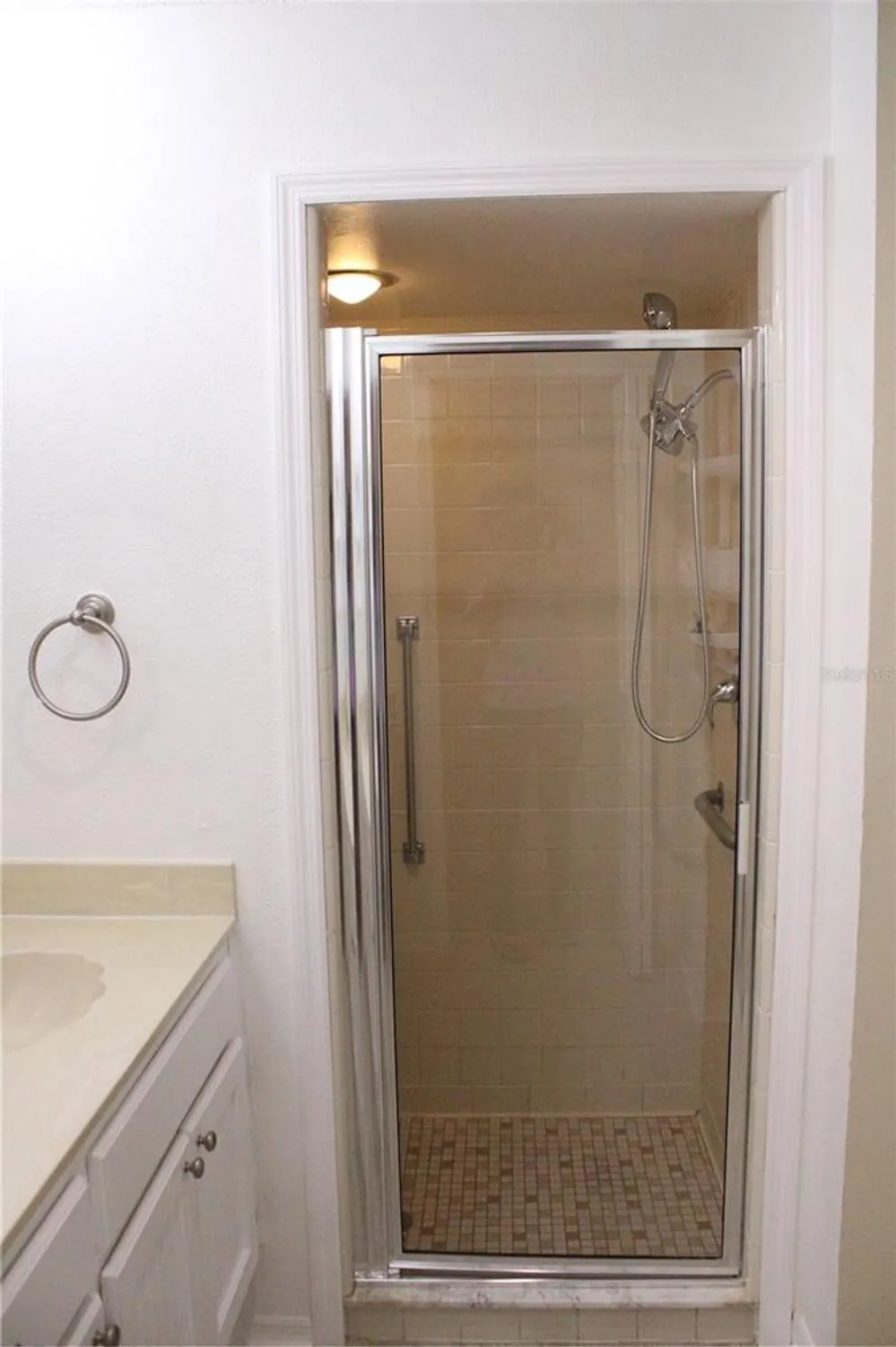 Property Slideshow image 15 of 31 | 2501 lonigan pl, Sun City Center, FL, 33573