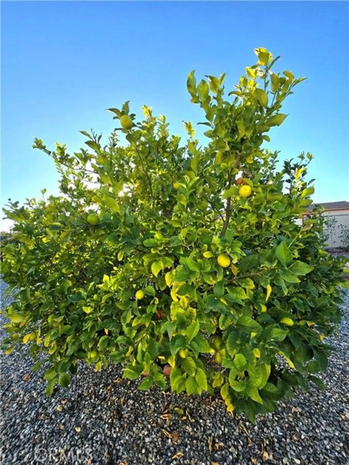 Property Slideshow image 38 of 39 | 27107 flagler st, Menifee, CA, 92586