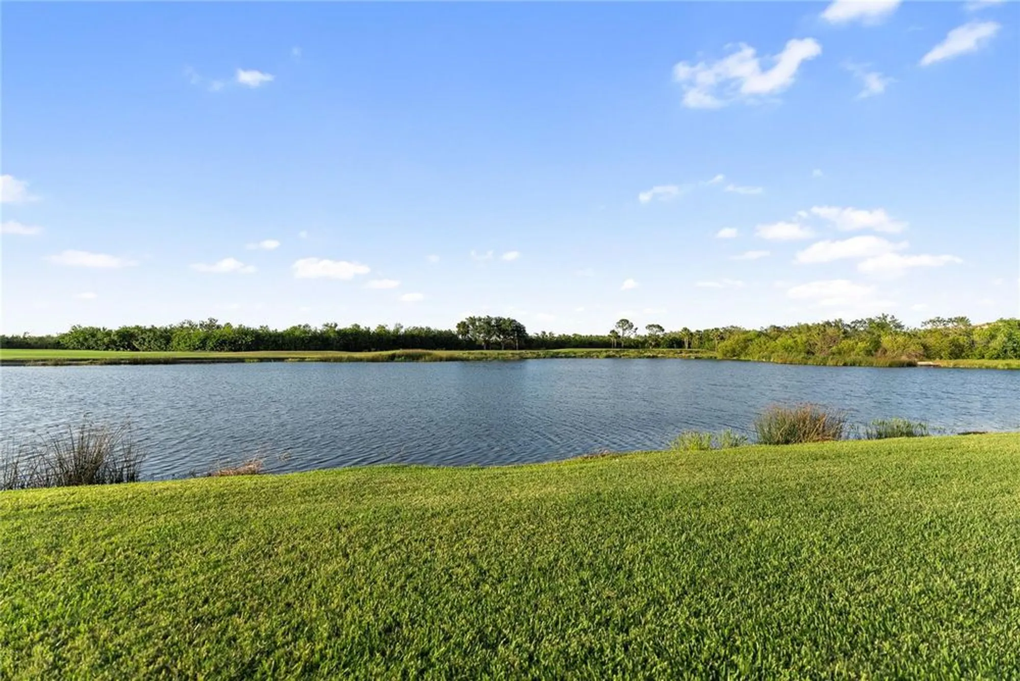 Property Slideshow image 9 of 93 | 7235 river hammock dr unit 103, Bradenton, FL, 34212