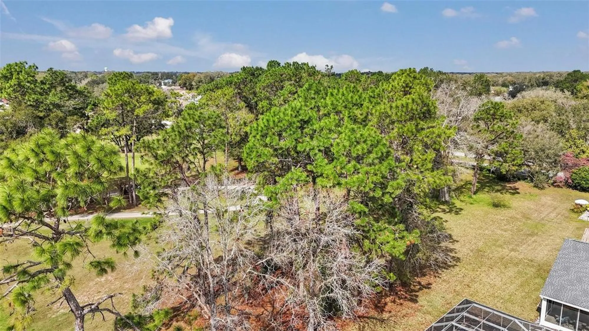 Property Slideshow image 7 of 41 | 11741 sw 72nd cir, Ocala, FL, 34476