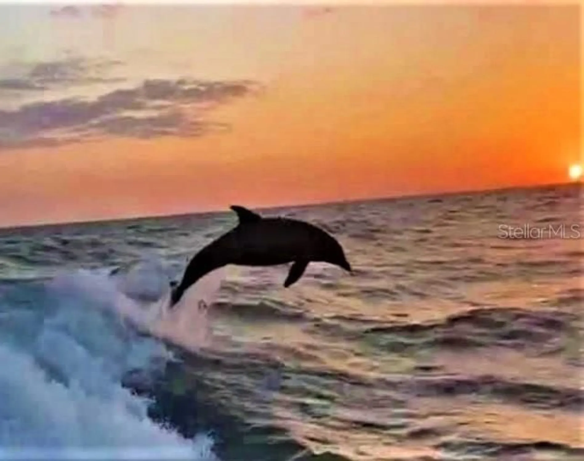 Property Slideshow image 83 of 84 | 1701 pinehurst rd apt 24b, Dunedin, FL, 34698