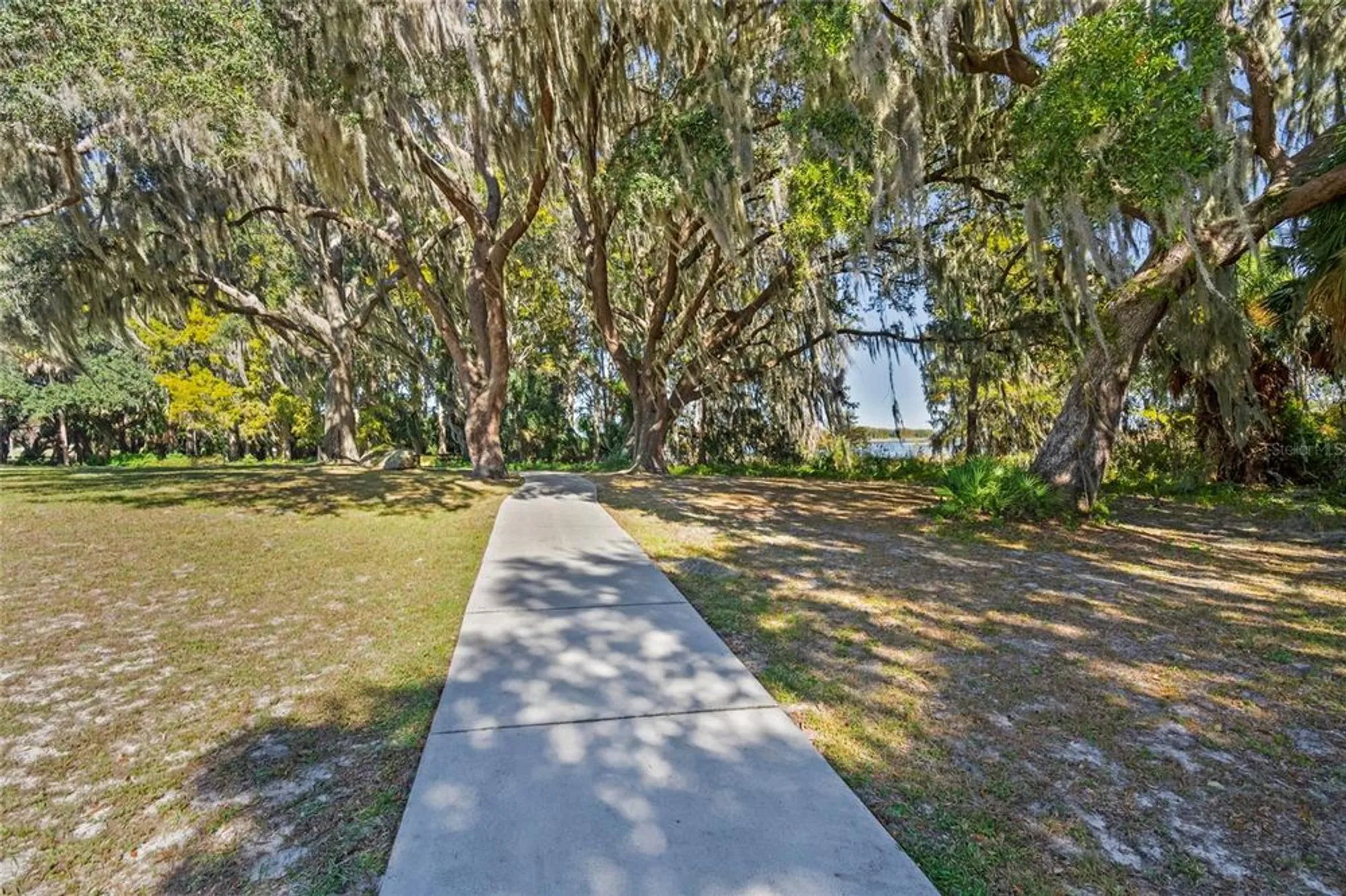Property Slideshow image 17 of 54 | 3773 e lake todd dr, Hernando, FL, 34442