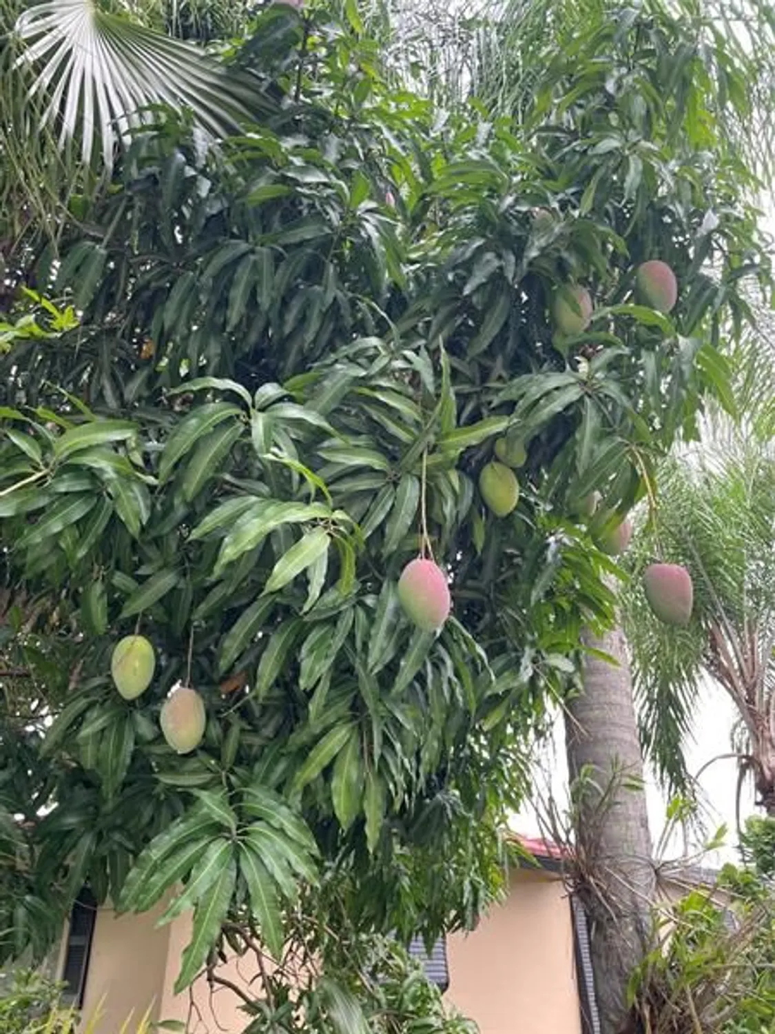 Property Slideshow image 20 of 20 | 4401 nw 43rd ave, Tamarac, FL, 33319