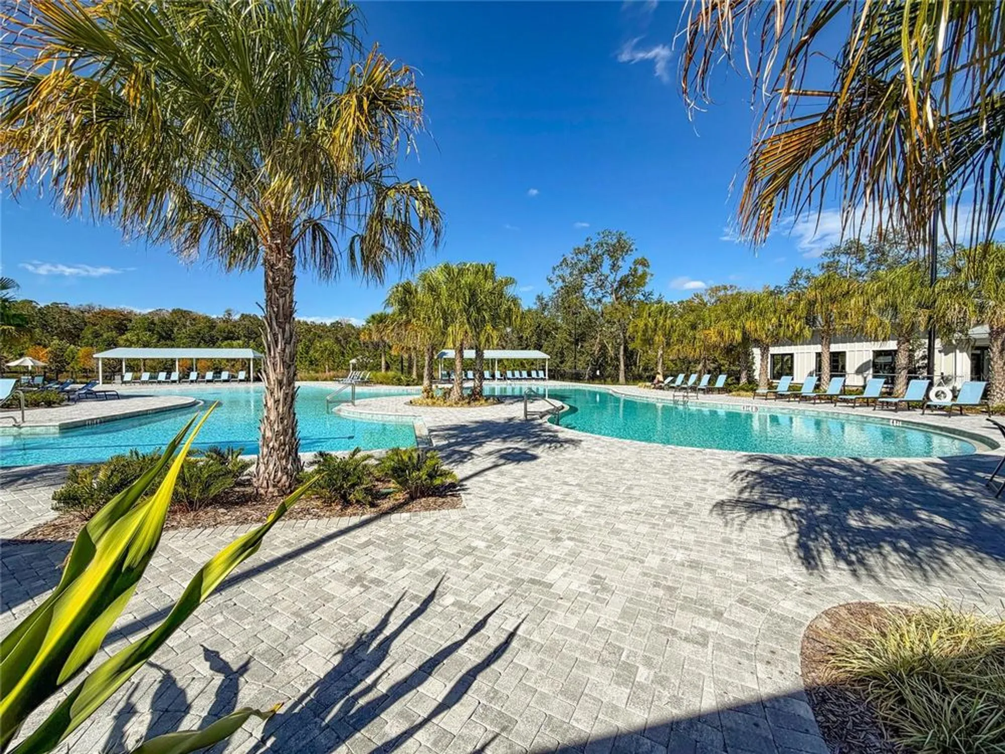 Property Slideshow image 78 of 90 | 17216 mango shay ct, Land O Lakes, FL, 34638