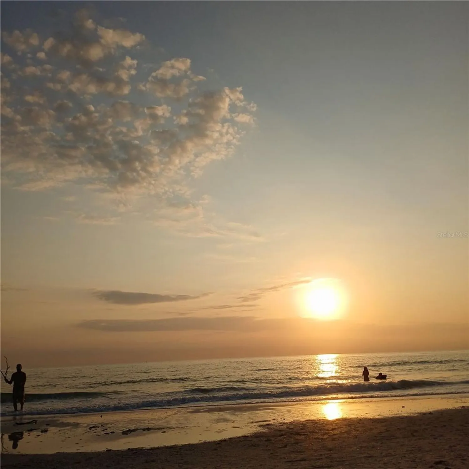 Property Slideshow image 36 of 36 | 7183 wood creek dr 9, Sarasota, FL, 34231