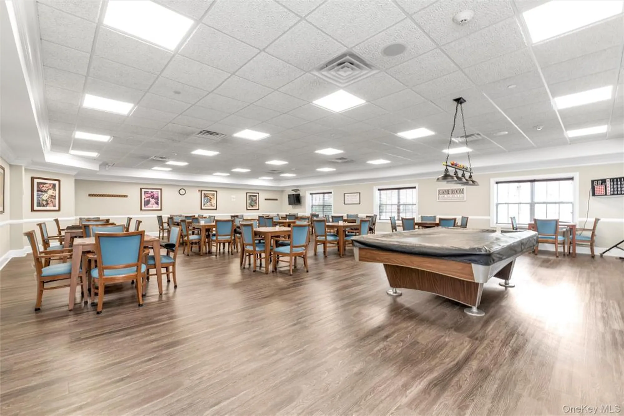 Property Slideshow image 21 of 27 | 331 spring dr, East Meadow, NY, 11554