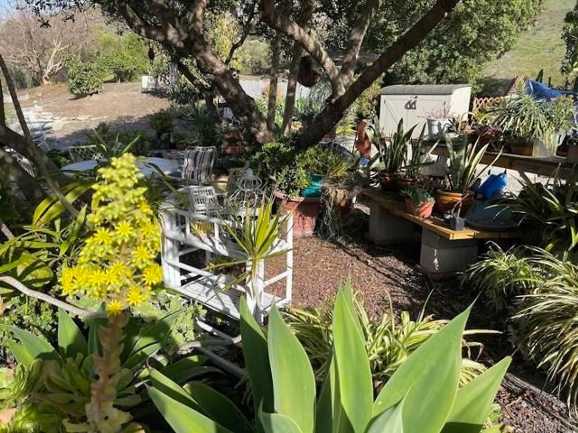 Property Slideshow image 24 of 26 | 3685 vista campana n unit 16, Oceanside, CA, 92057