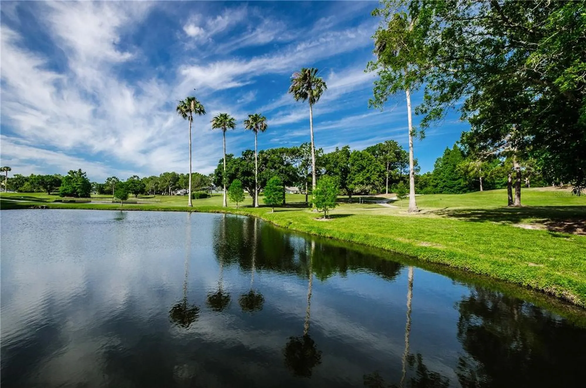 Property Slideshow image 82 of 100 | 3420 stonehaven ct d, Palm Harbor, FL, 34684