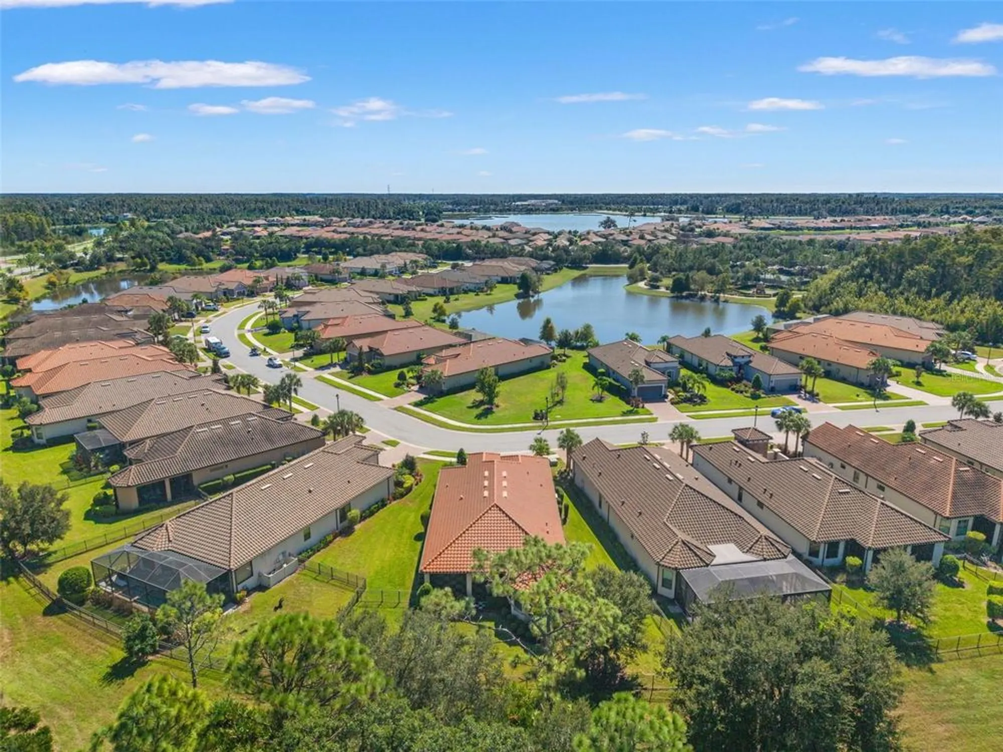 Property Slideshow image 65 of 76 | 11295 juglans dr, Odessa, FL, 33556