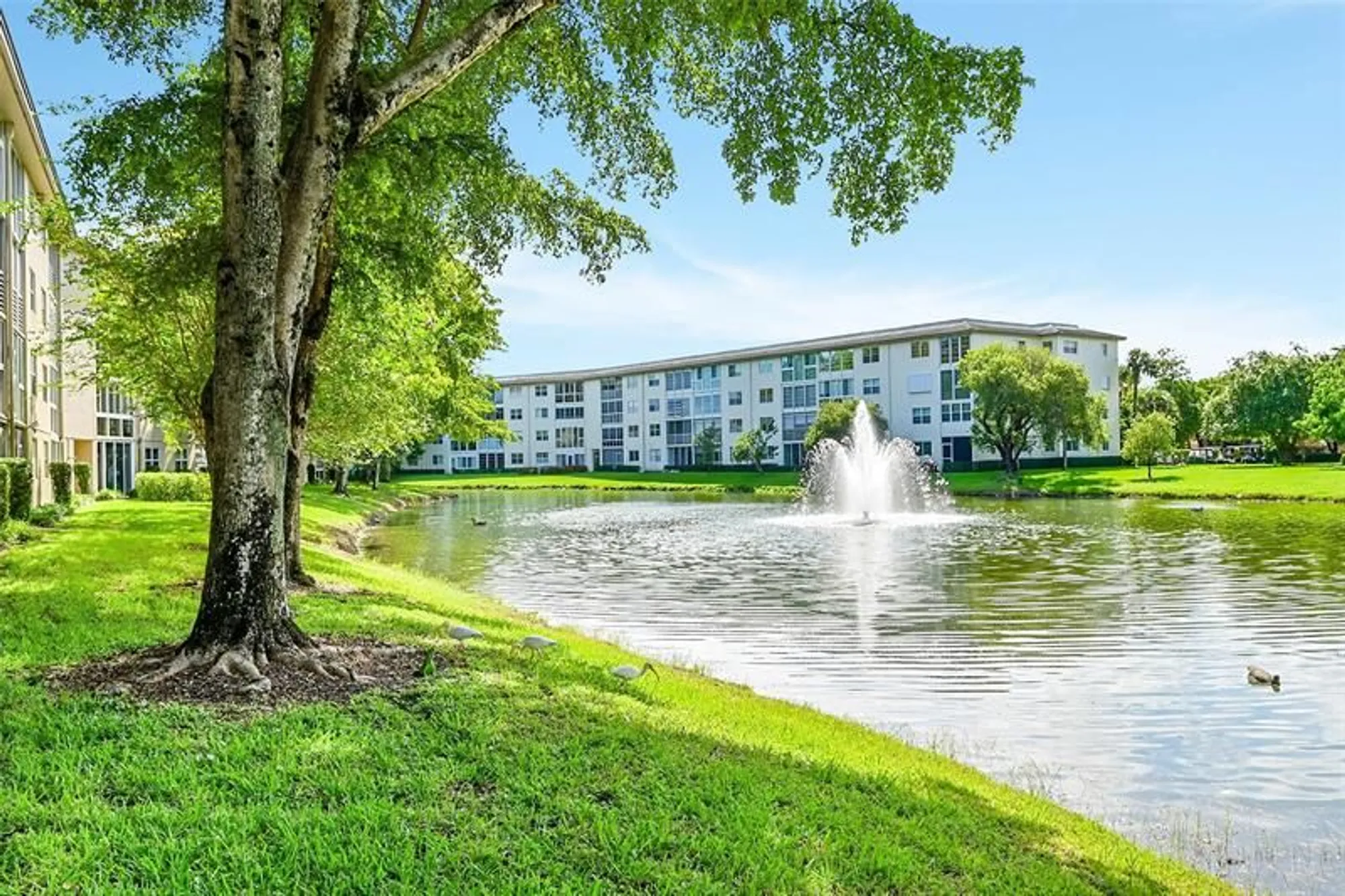 Property Slideshow image 32 of 43 | 1701 andros isle apt g4, Coconut Creek, FL, 33066
