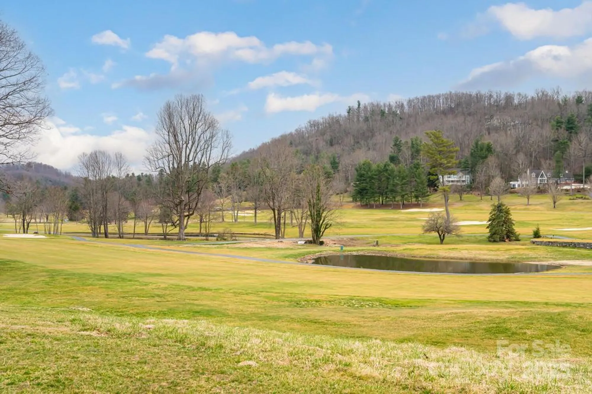 Property Slideshow image 41 of 48 | 173 winding meadows dr, Flat Rock, NC, 28731