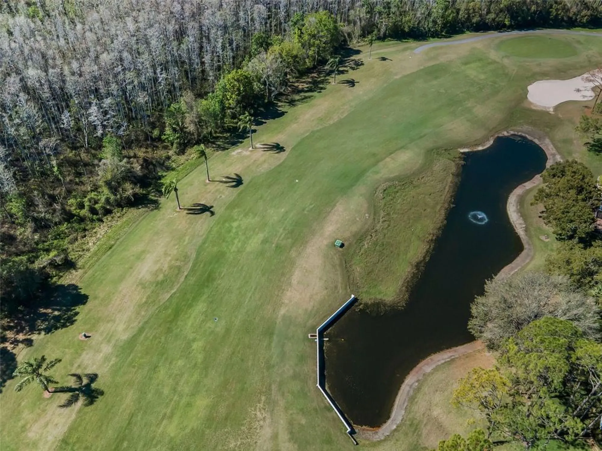 Property Slideshow image 50 of 81 | 9713 sweeping view dr, New Port Richey, FL, 34655