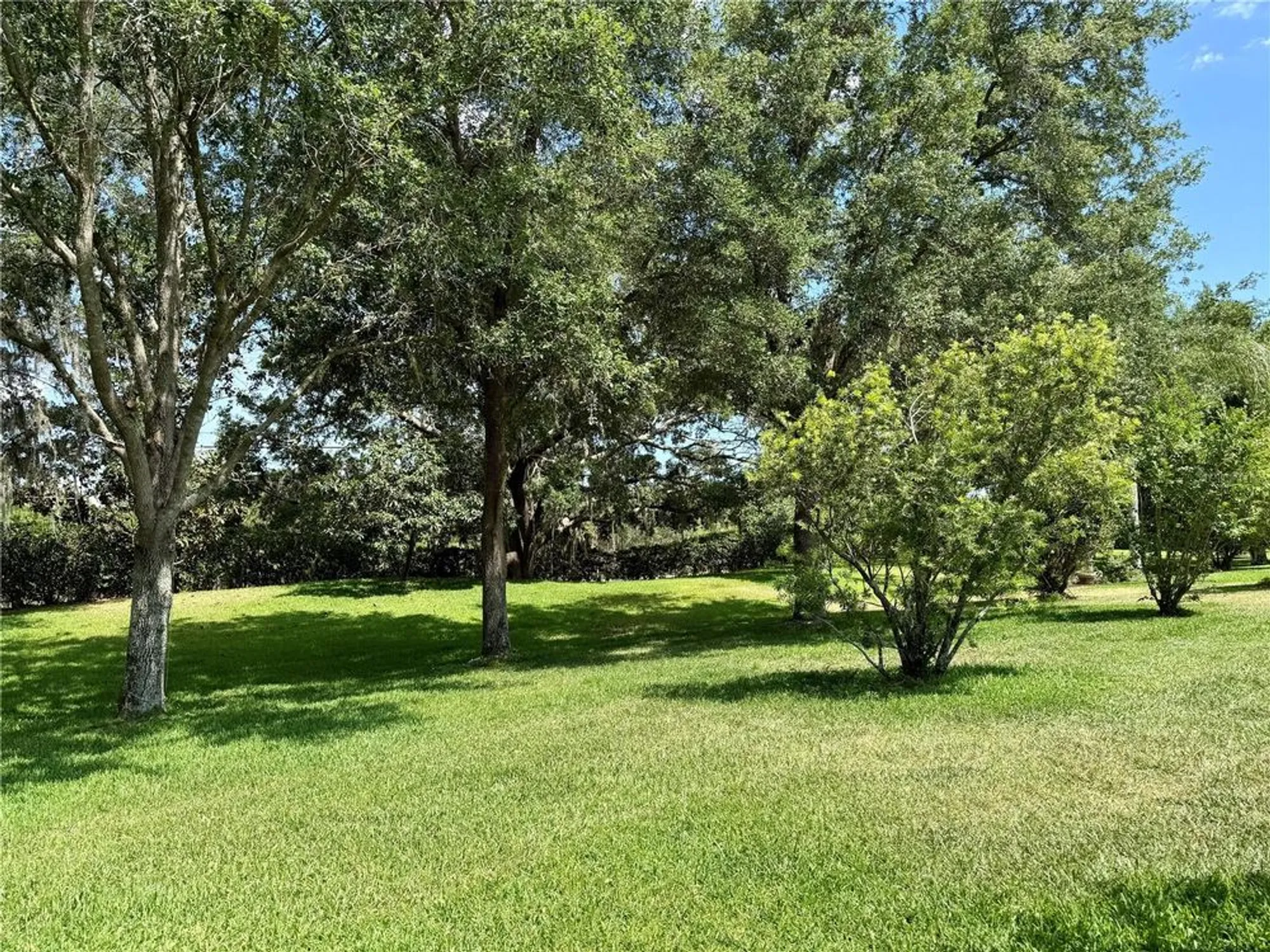 Property Slideshow image 25 of 26 | 24125 peekskill st, Leesburg, FL, 34748