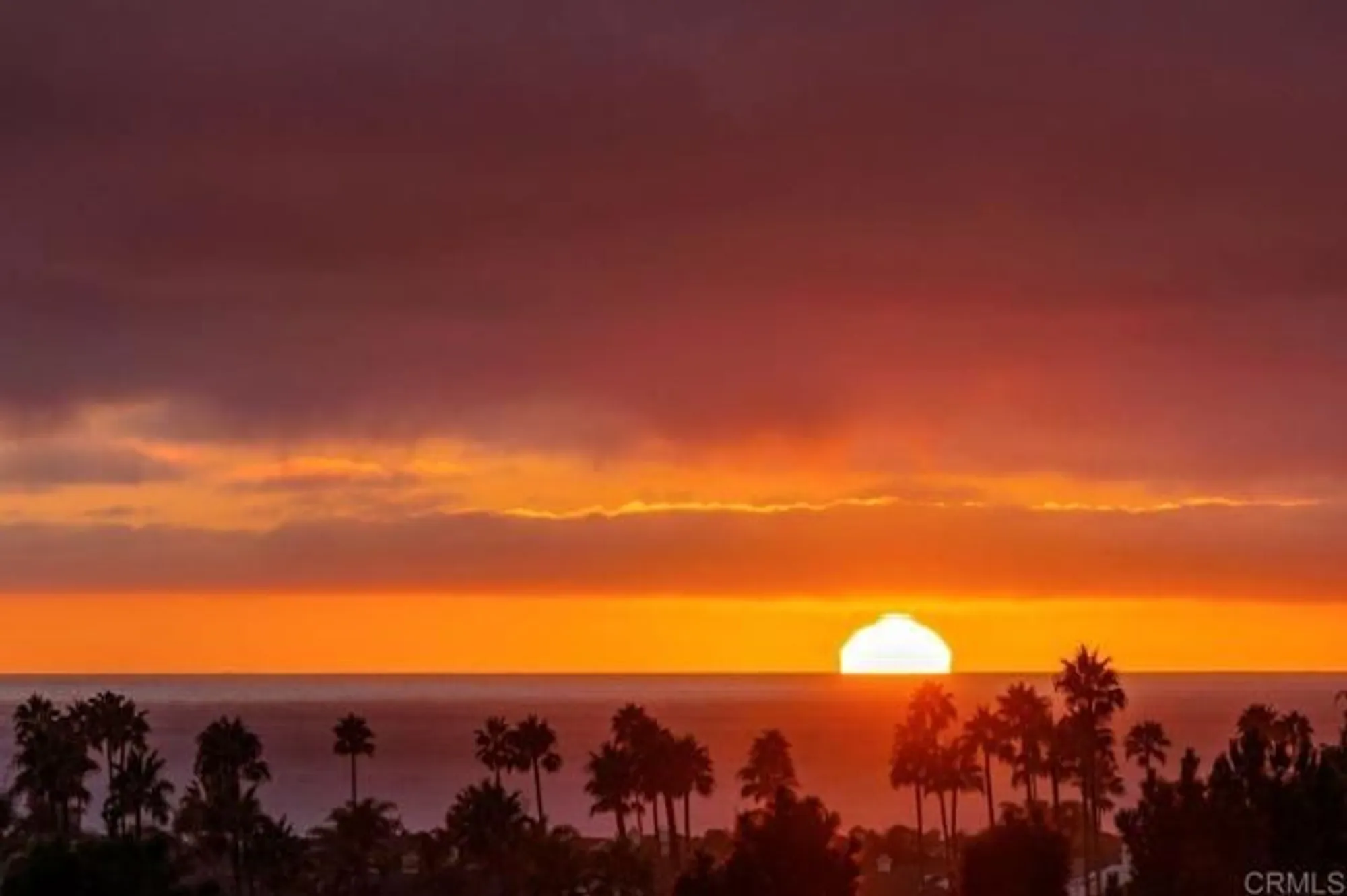 Property Slideshow image 2 of 45 | 7219 linden ter, Carlsbad, CA, 92011