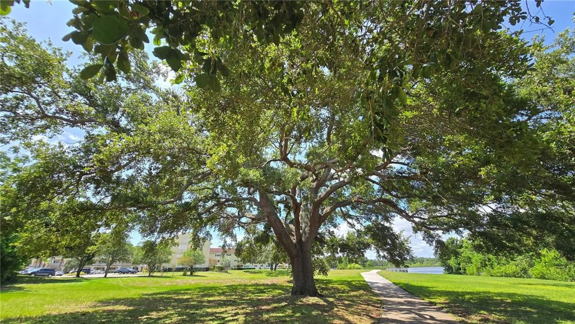 Property Slideshow image 36 of 37 | 2192 swedish dr apt 10, Clearwater, FL, 33763