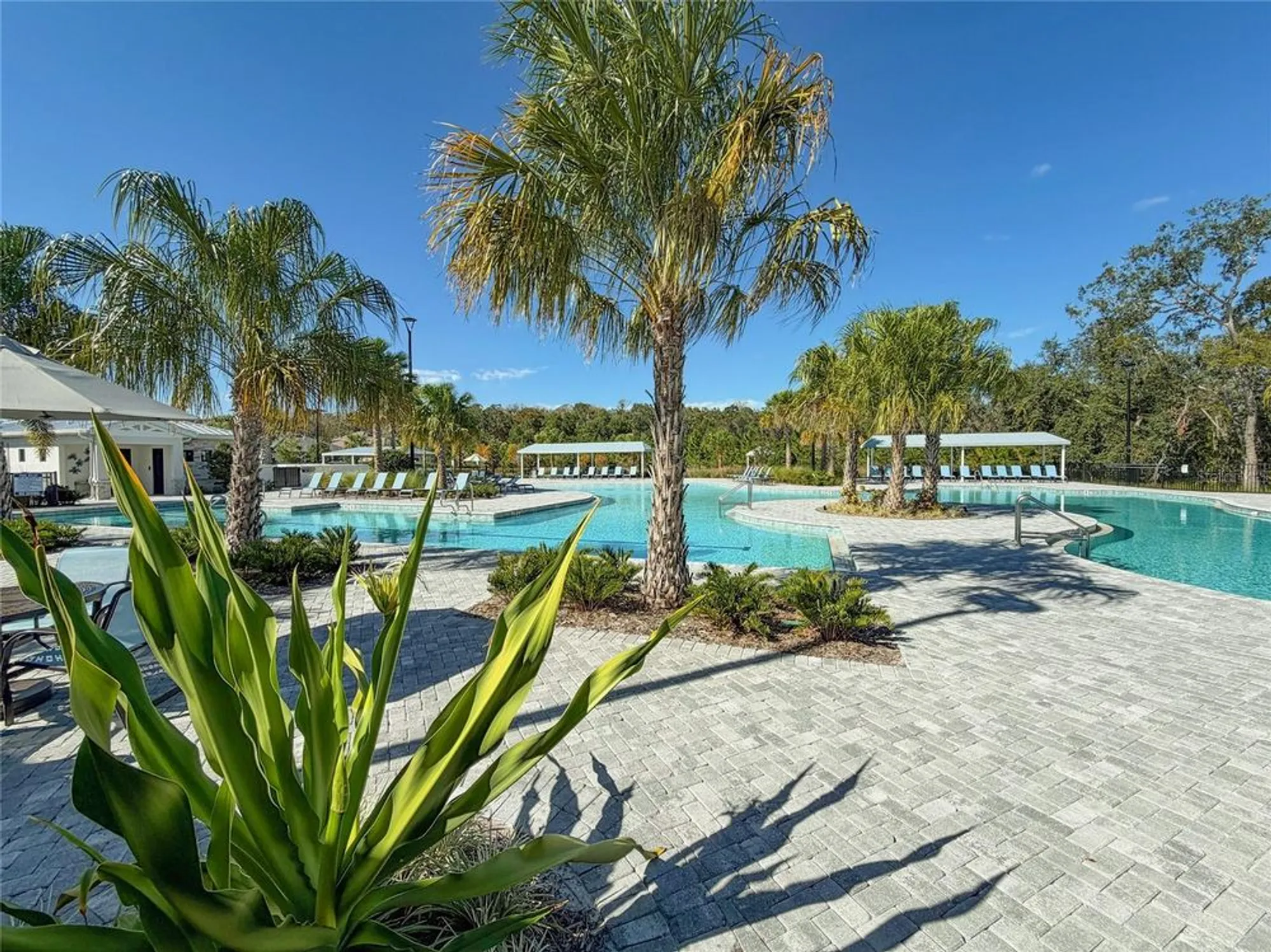 Property Slideshow image 77 of 90 | 17216 mango shay ct, Land O Lakes, FL, 34638
