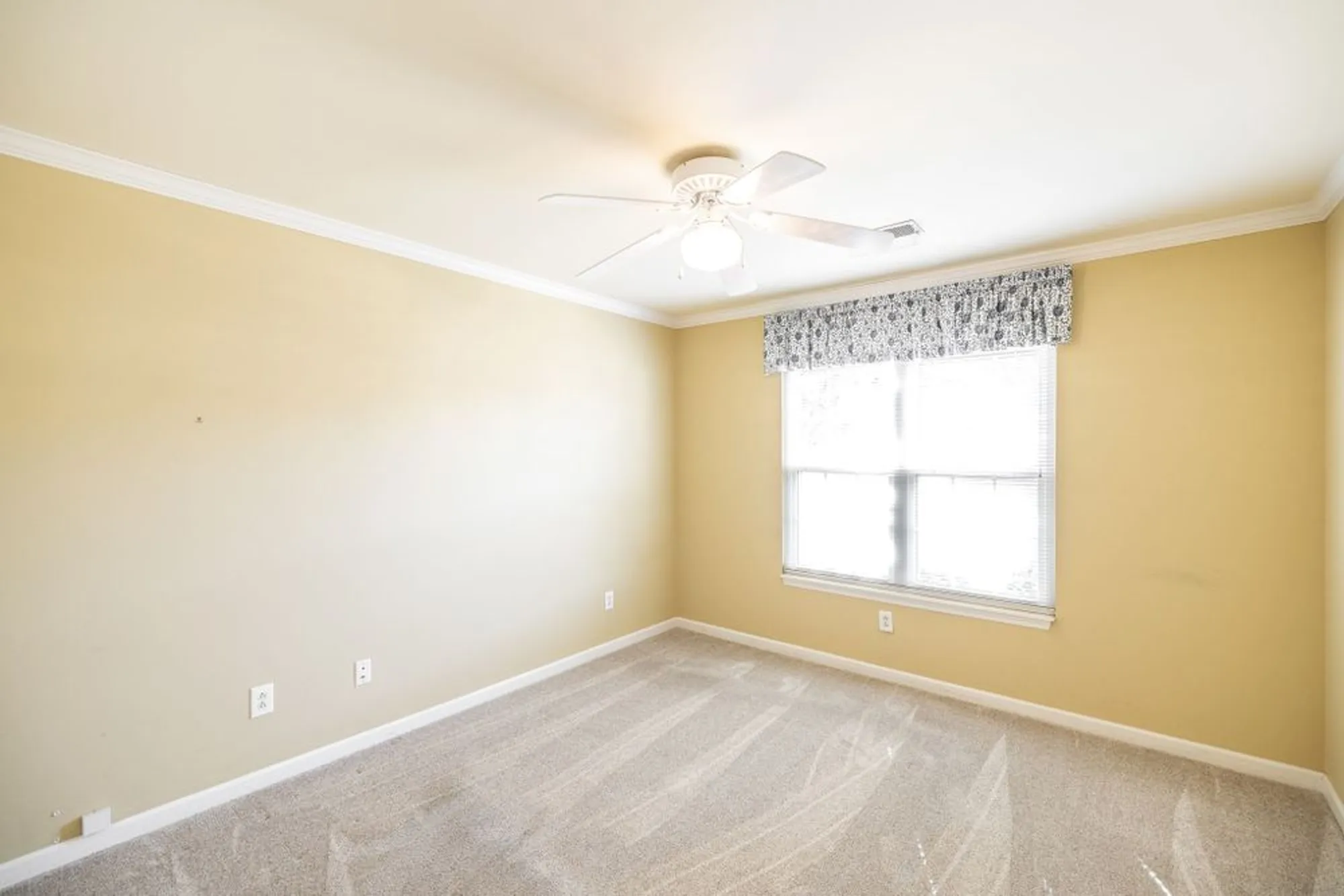 Property Slideshow image 18 of 54 | 115 newsom grn, Nashville, TN, 37221