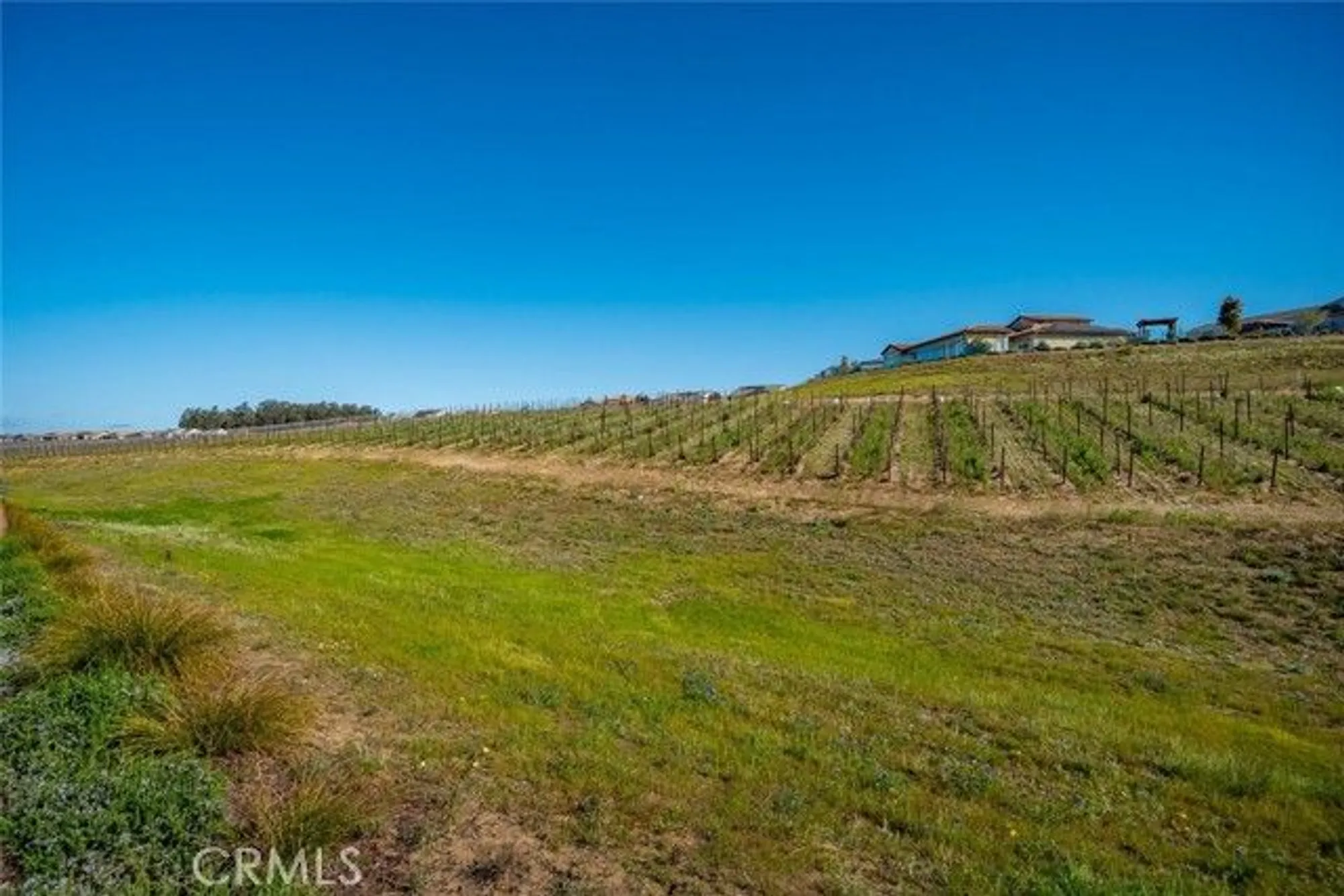 Property Slideshow image 23 of 75 | 981 trail view pl, Nipomo, CA, 93444