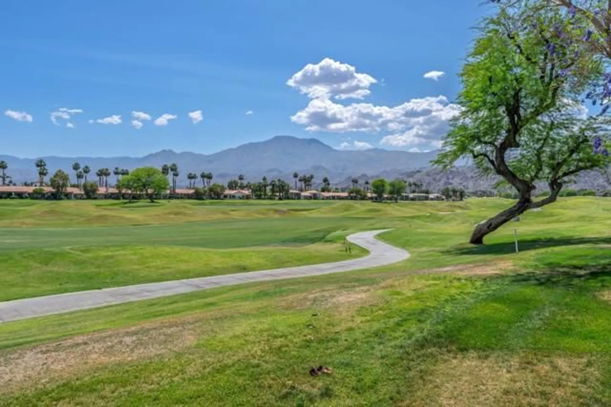 Property Slideshow image 5 of 36 | 80613 oak tree, La Quinta, CA, 92253