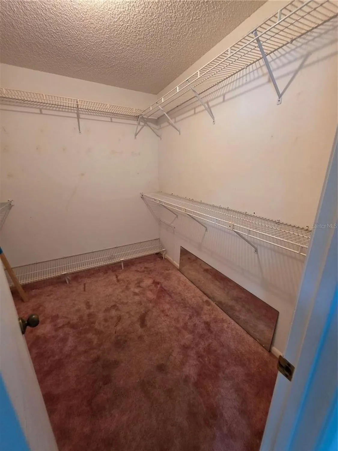 Property Slideshow image 19 of 29 | 1818 san salvador ct, Winter Haven, FL, 33881