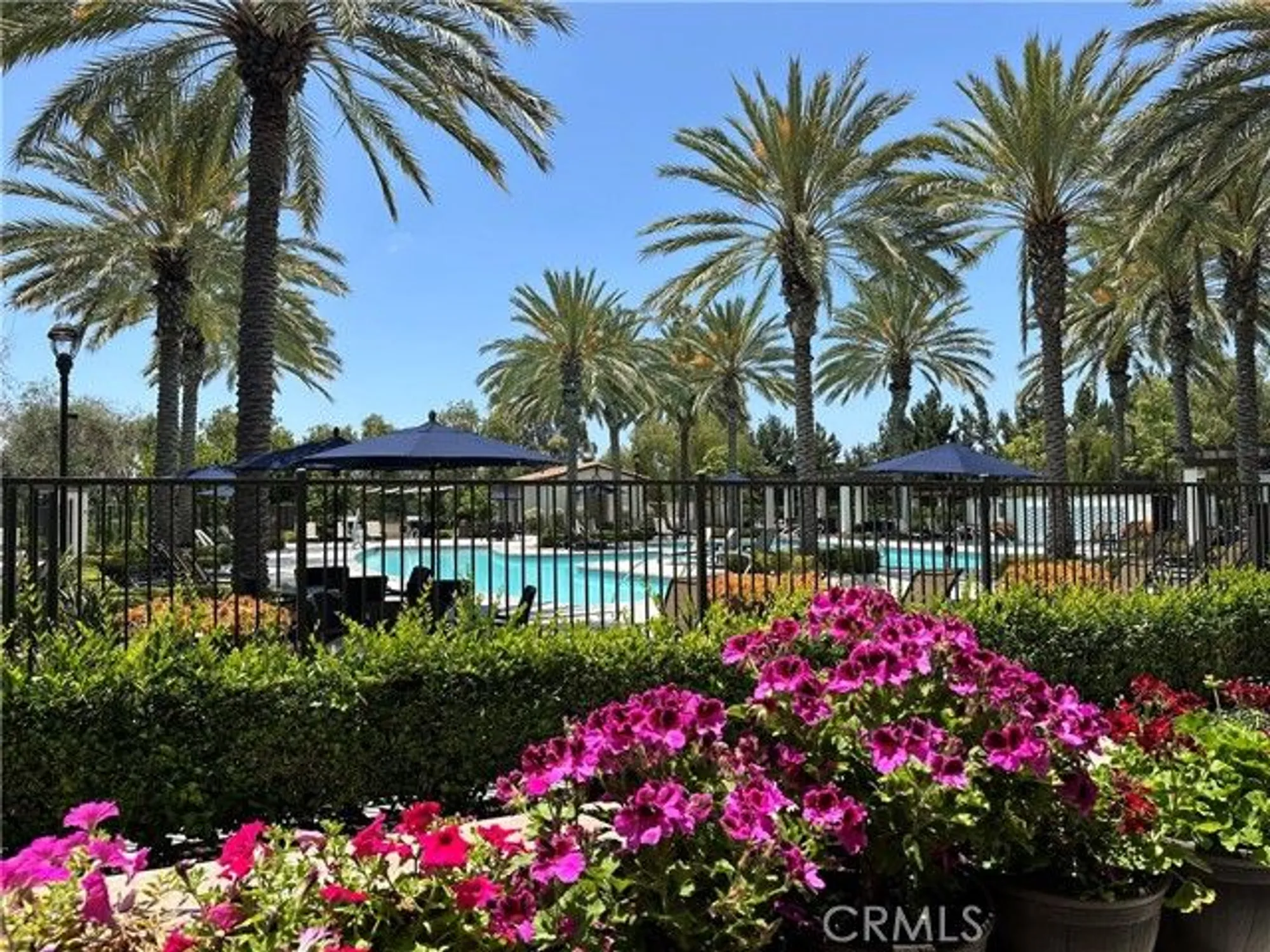 Property Slideshow image 32 of 62 | 227 carlow, Irvine, CA, 92618