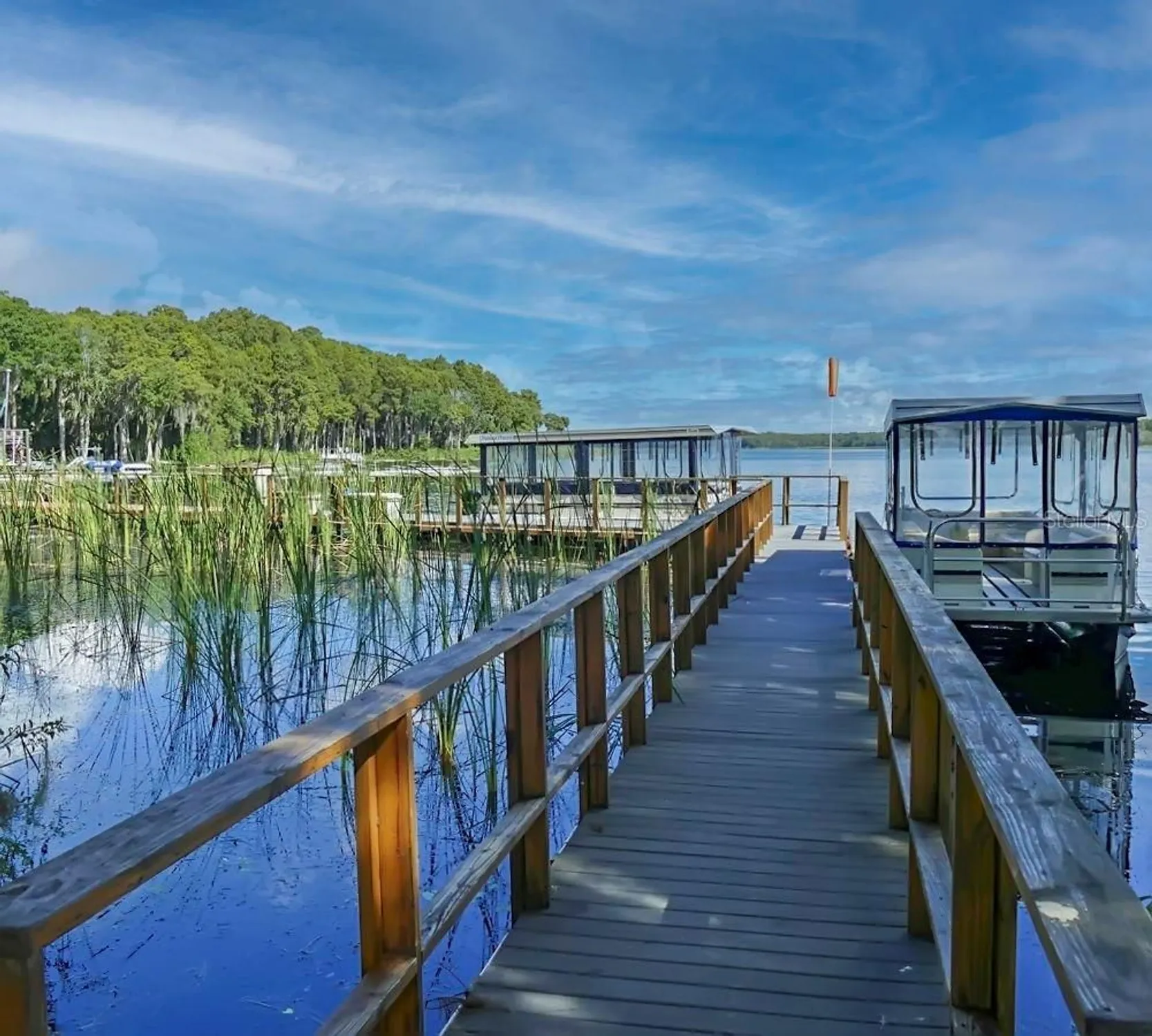 Property Slideshow image 57 of 61 | 1012 dunrobin dr d, Palm Harbor, FL, 34684