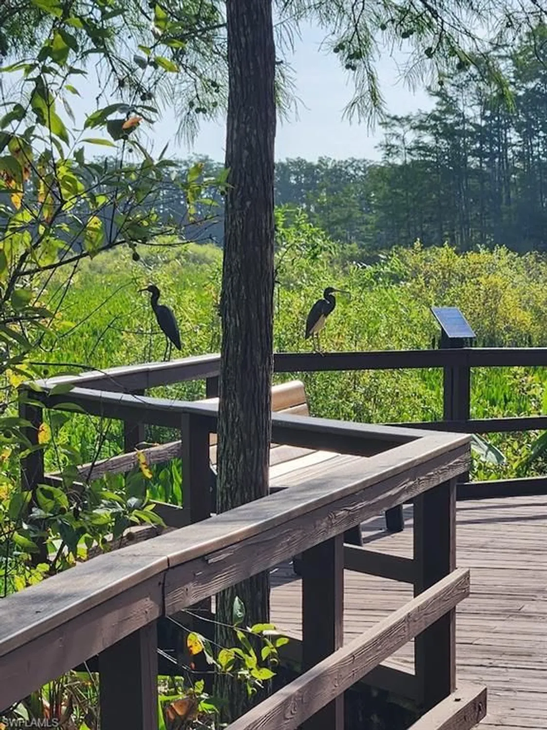 Property Slideshow image 36 of 36 | 10110 colonial country club blvd apt 105, Fort Myers, FL, 33913