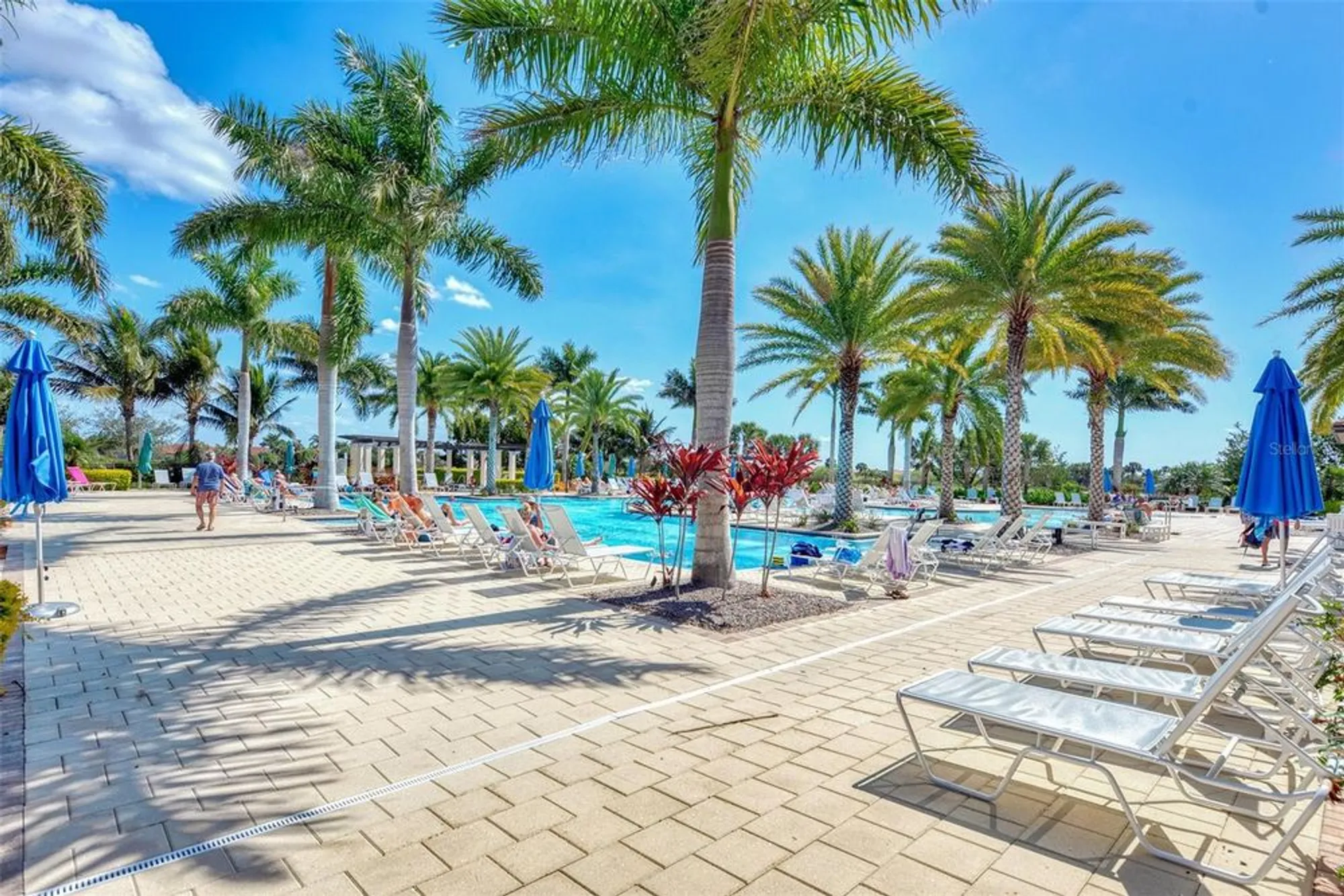 Property Slideshow image 58 of 96 | 10789 tarflower dr 202, Venice, FL, 34293